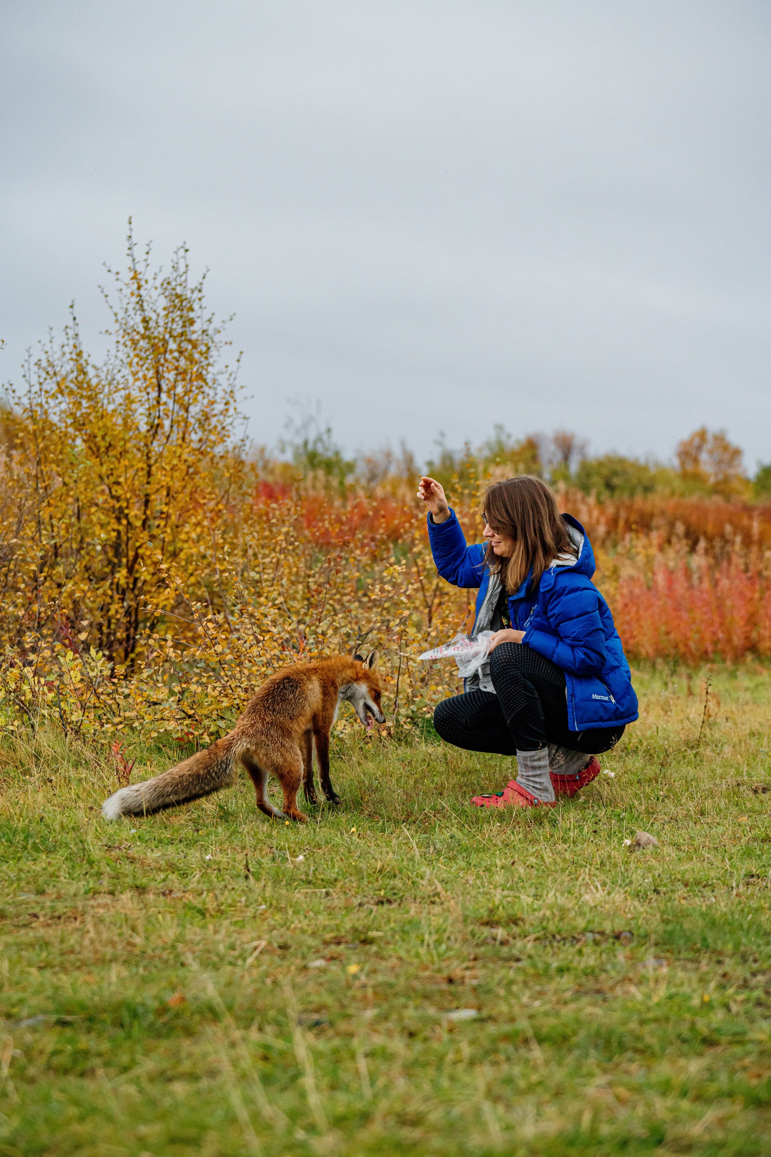 СЕВЕР. Event фотограф Степанова Александра