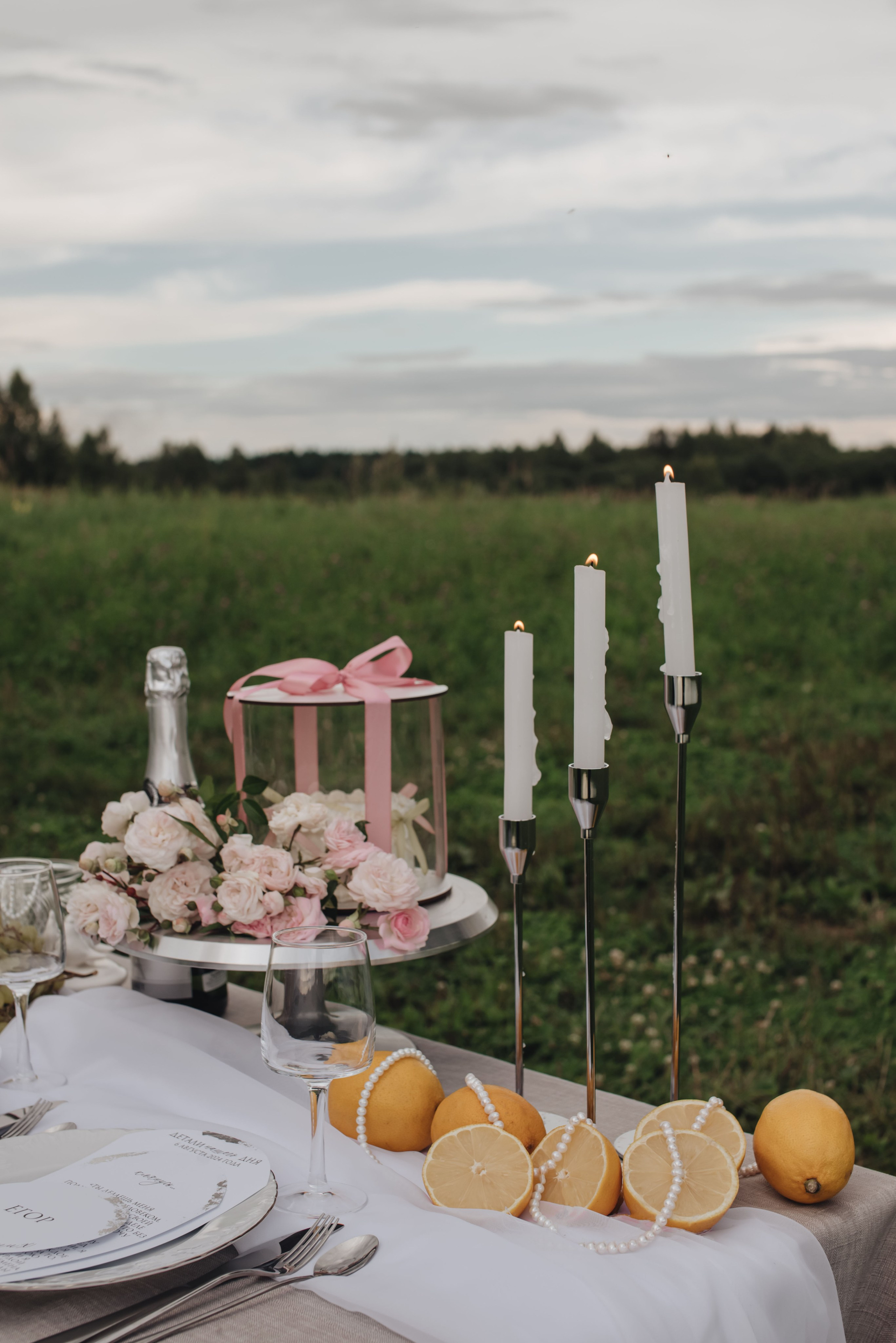 Валерия&Егор. Свадебный и семейный фотограф в Смоленске Печкурова Карина
