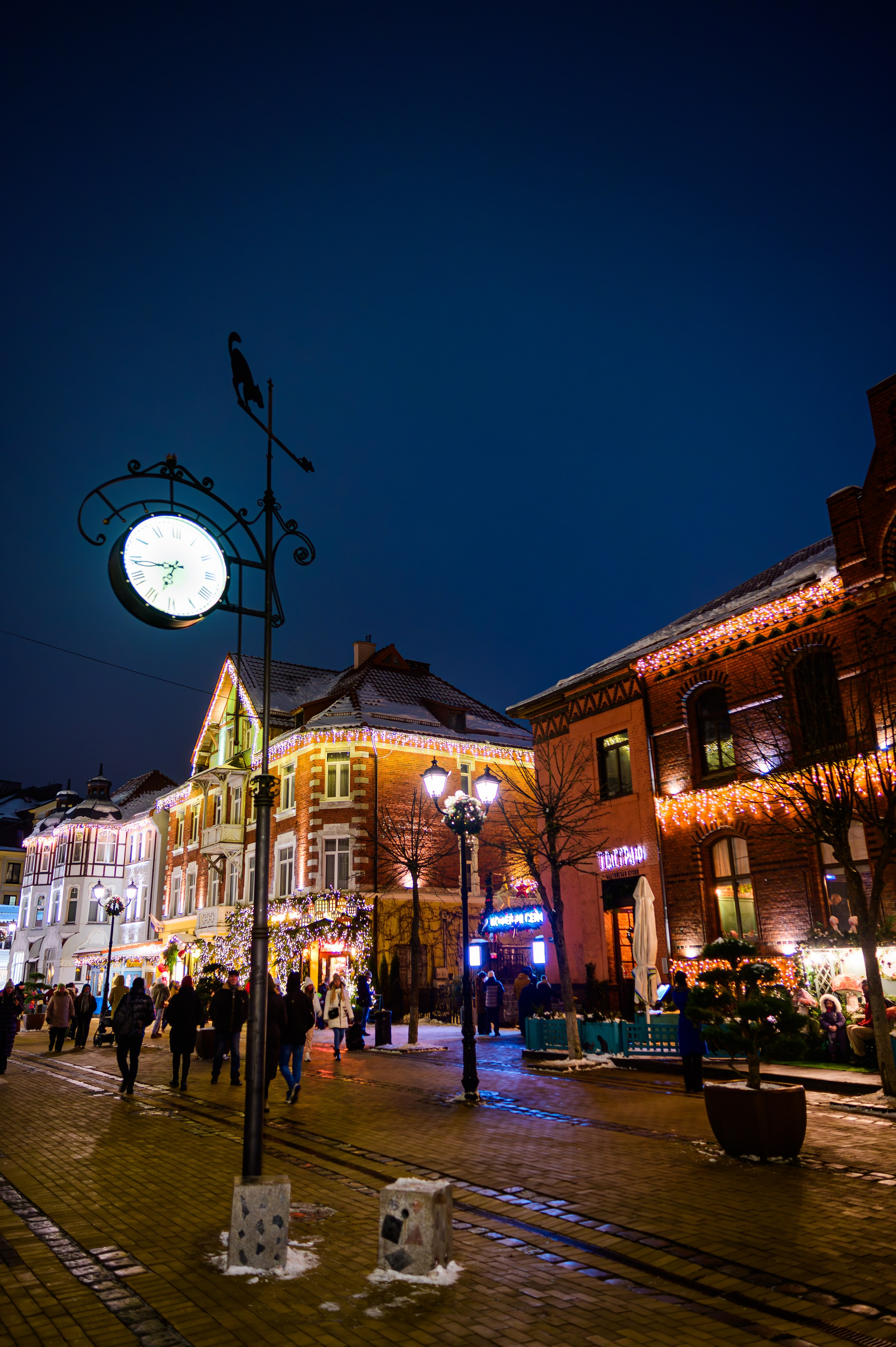 Зимняя Калининградская область. Фотосъемка и видеосъемка в Калининграде Liveemotion.pro