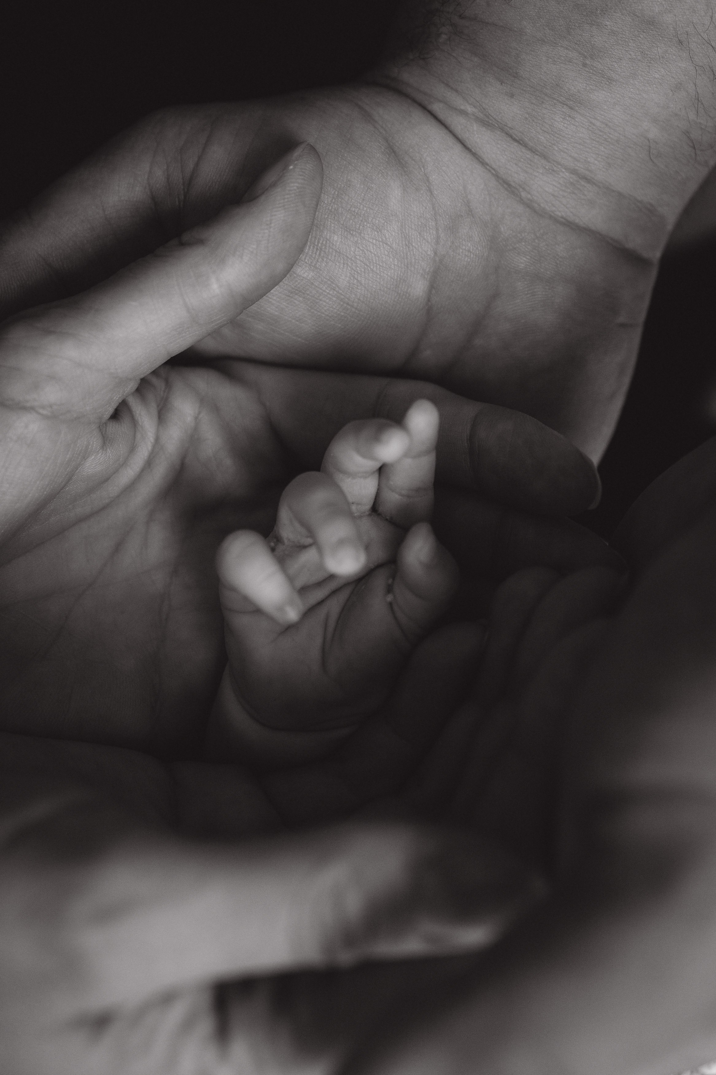 фотосессия новорожденного, фотосессия новорожденных, ньюборн, пушкин, павловск, спб, семейная фотосессия