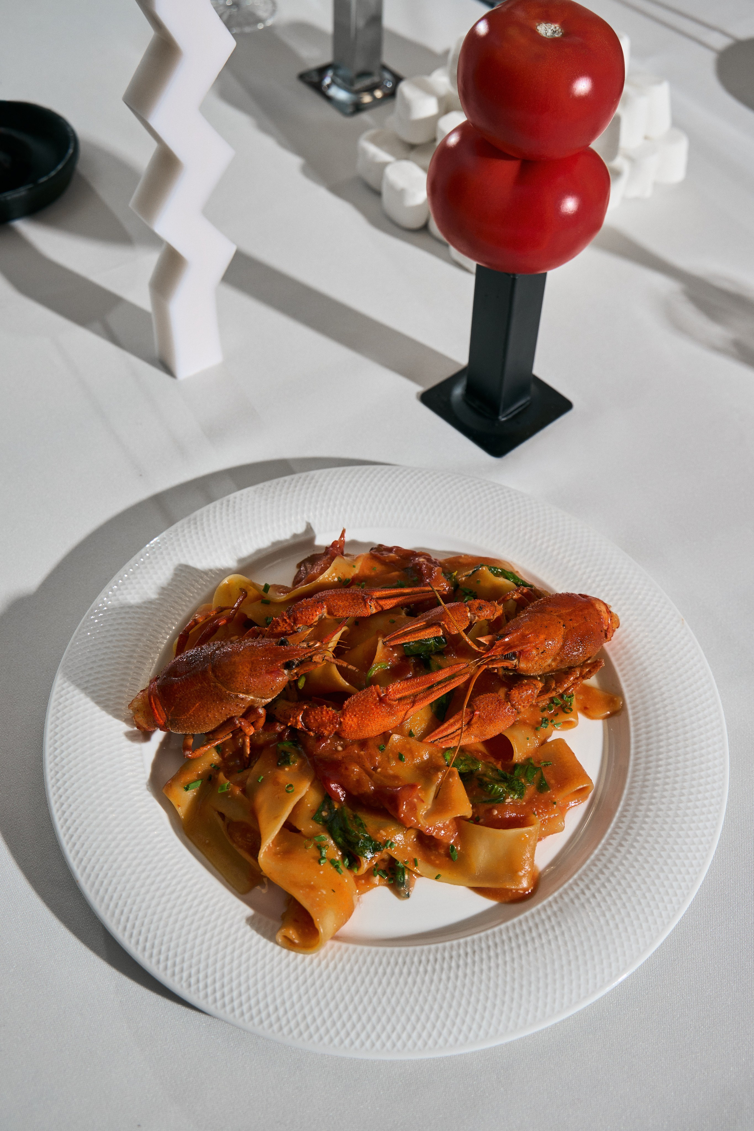 Февраль'25. NN Собака.ru. Профессиональный фотограф Федотова Арина