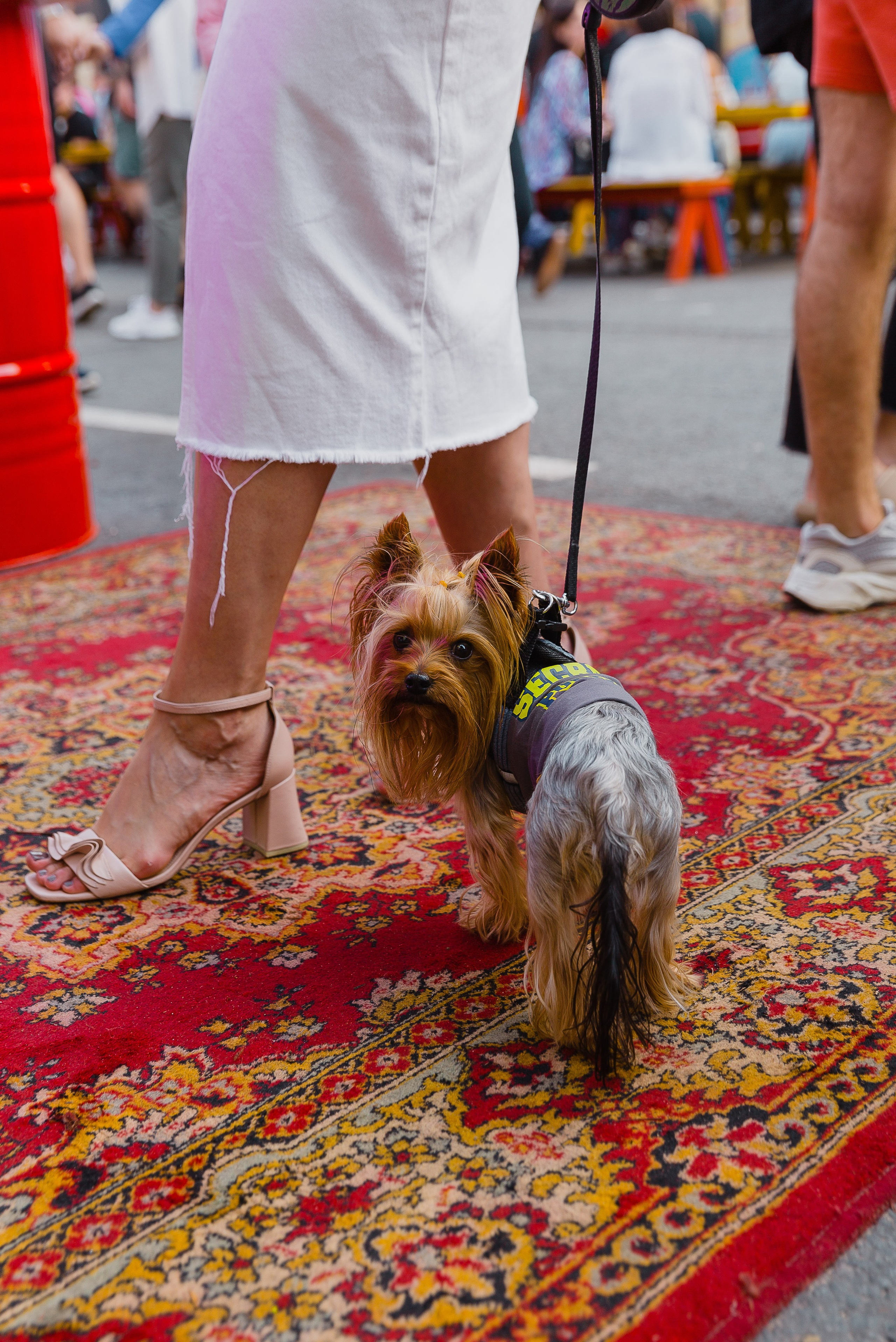 РЕПОРТАЖ. Ваш фотограф Любовь Чистякова