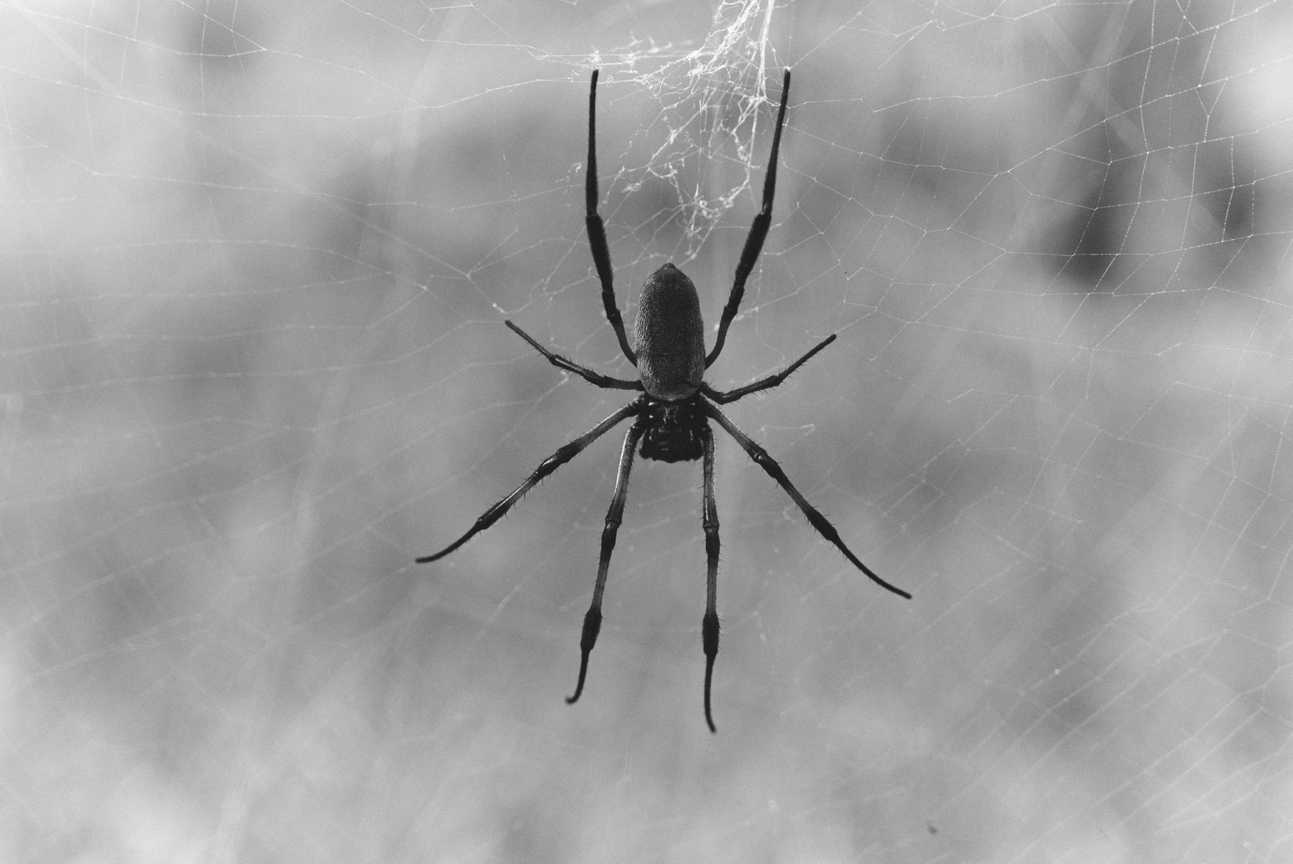 U Magazine x Выездная редакция. Фотограф Сурков Никита