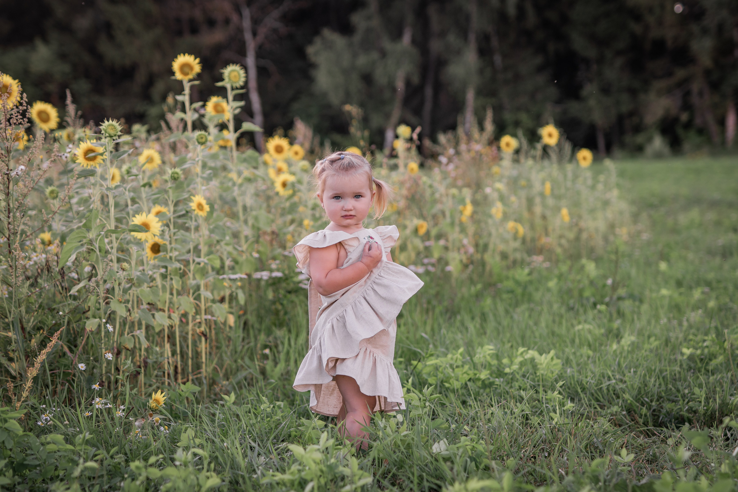 Прогулка с подсолнухами. Семейный фотограф Ефремова Виктория