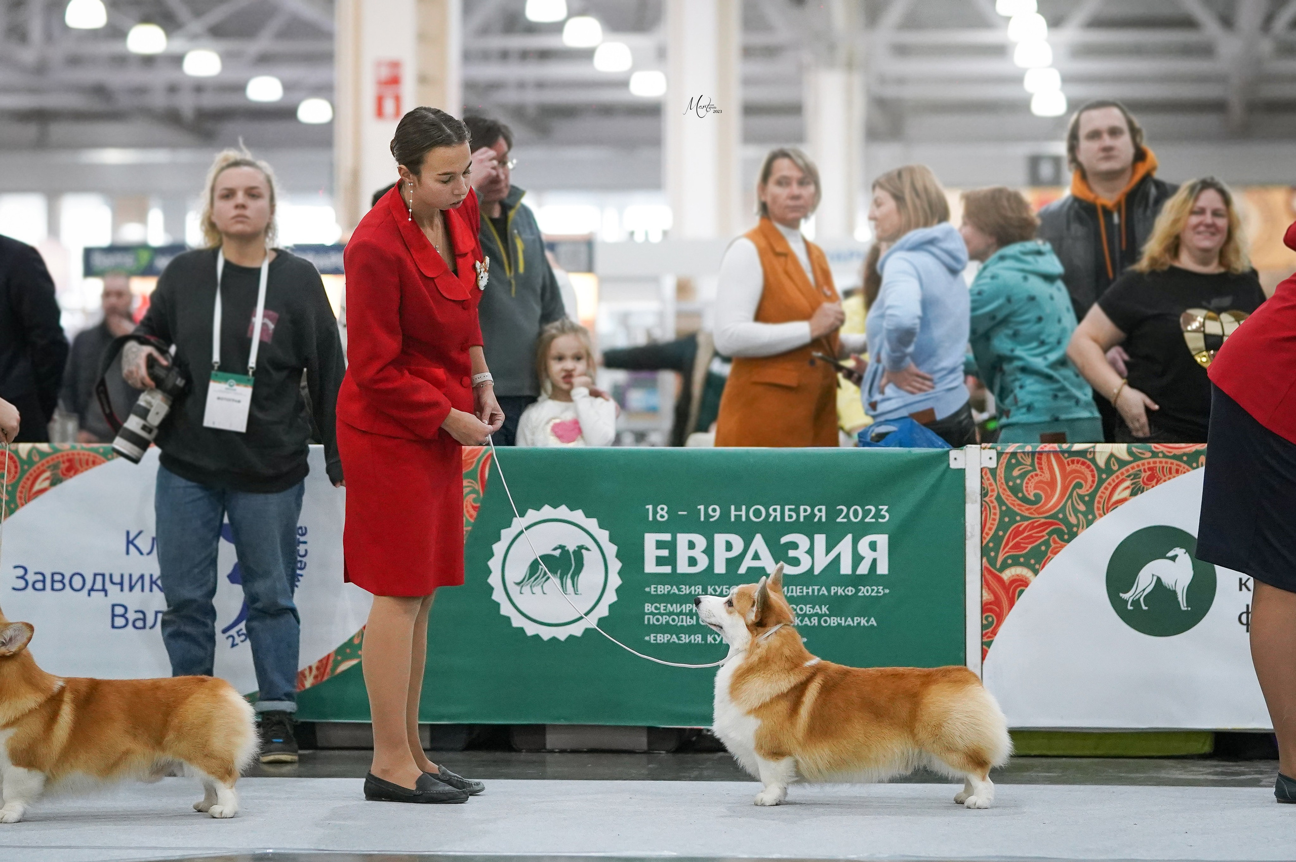 Выставки 2023. Фотограф-анималист в Санкт-Петербурге Яна Мартынова