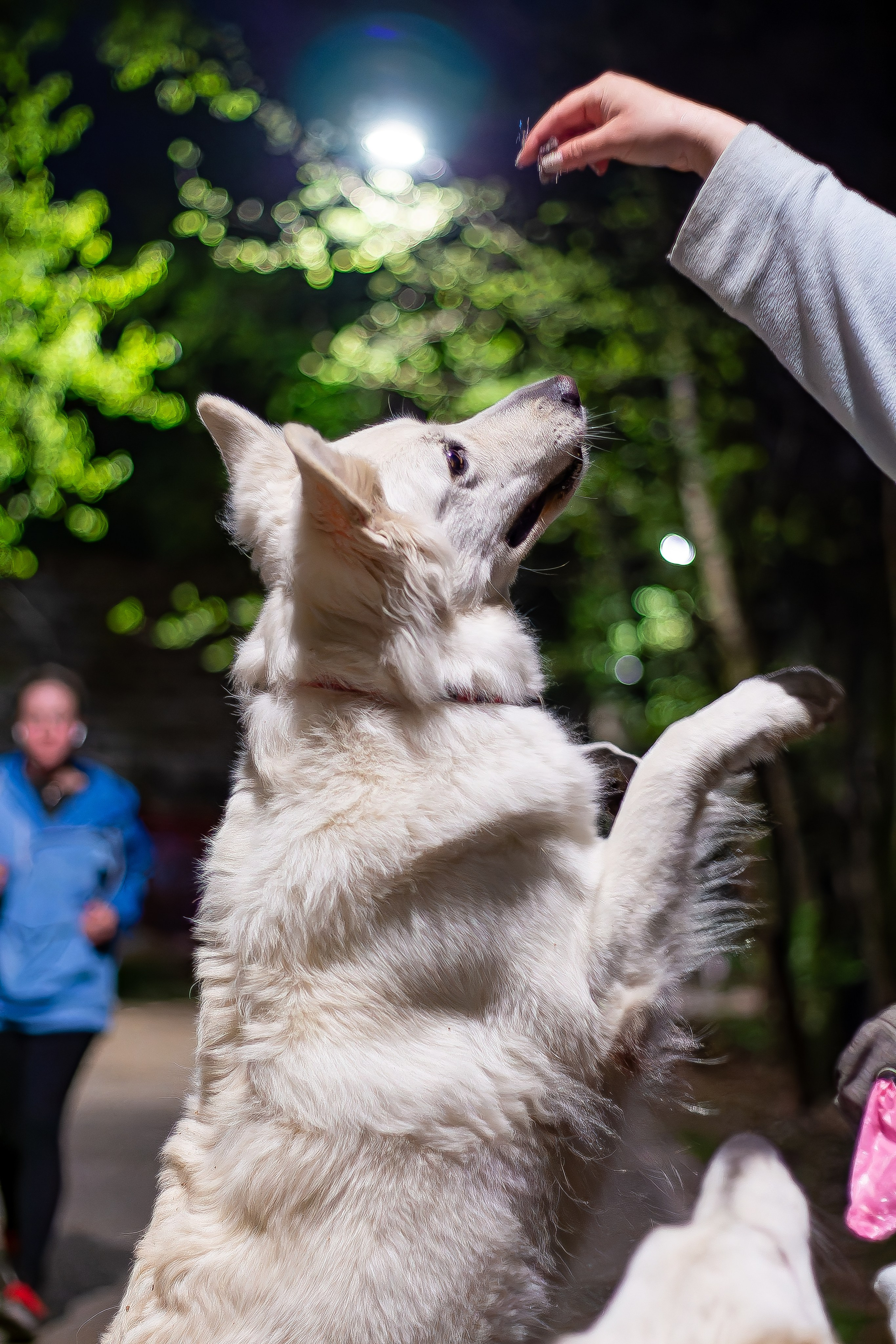 Я в душе волк!. Фотограф • Орехово-Зуево • Балашиха • TEFO