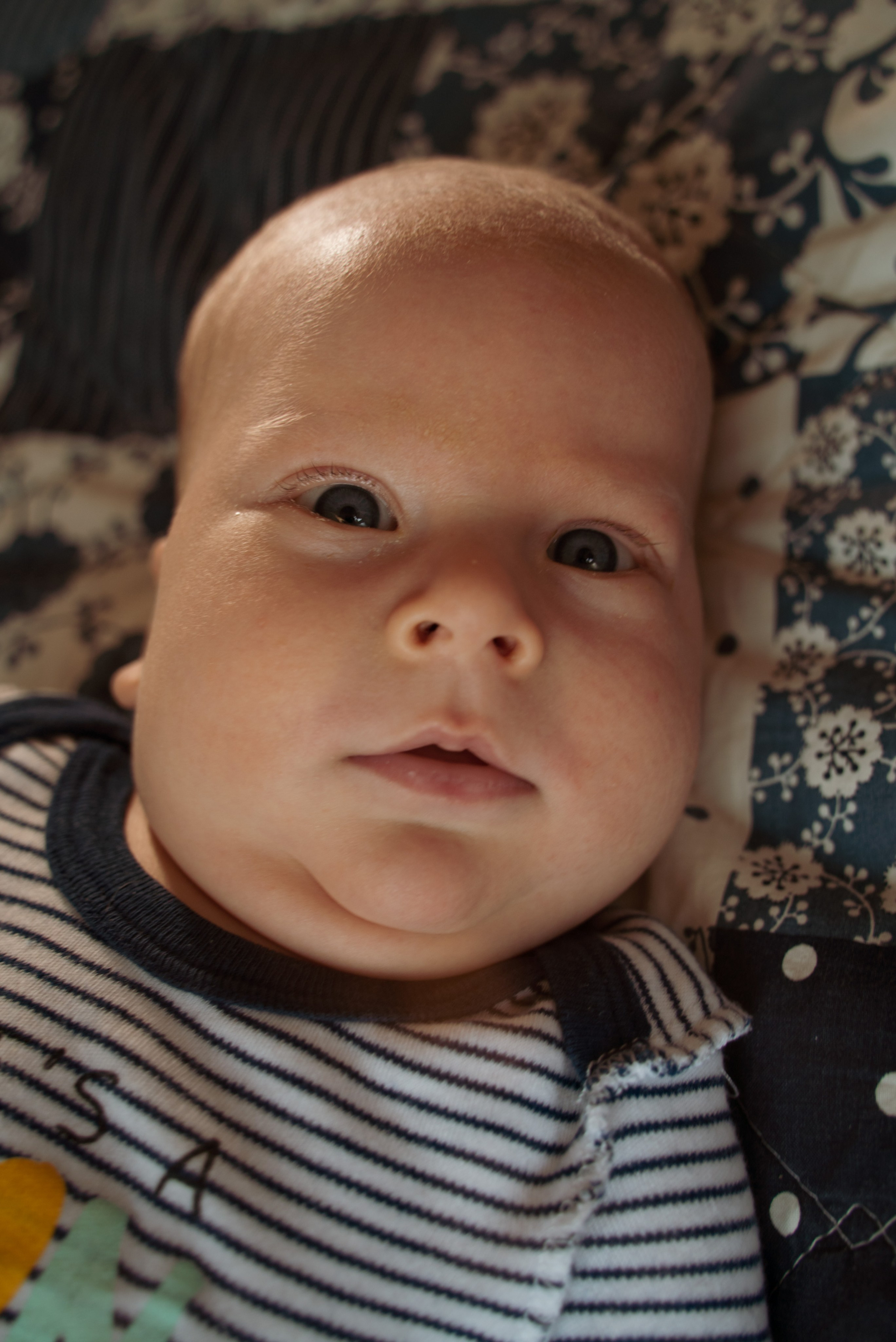 Домашняя фотосессия с двумя детьми. Видеограф Осинина Татьяна — видеосъемка в Москве