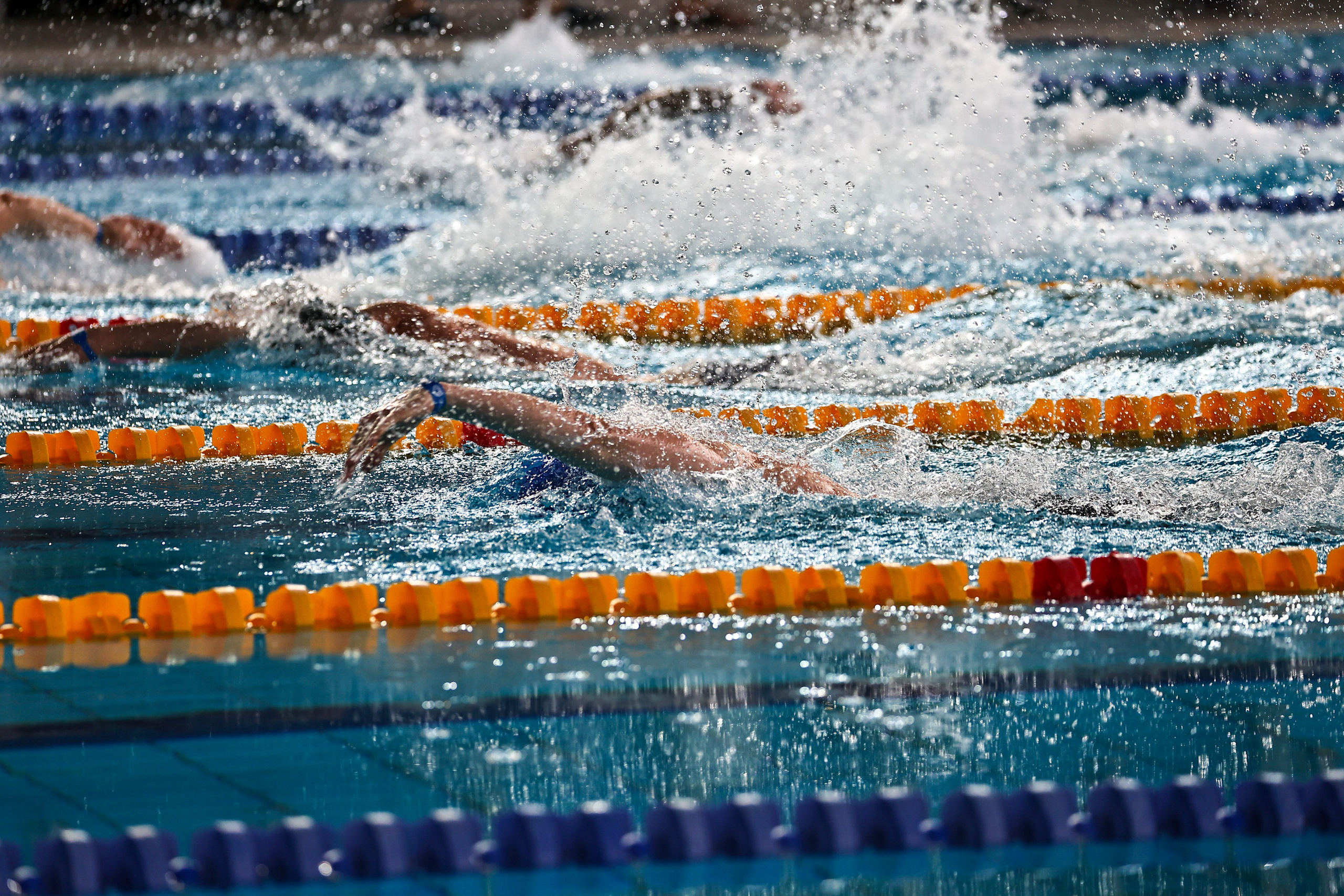 ДЗМ Плавание 2026. Фототерапевт Ева Бунеева