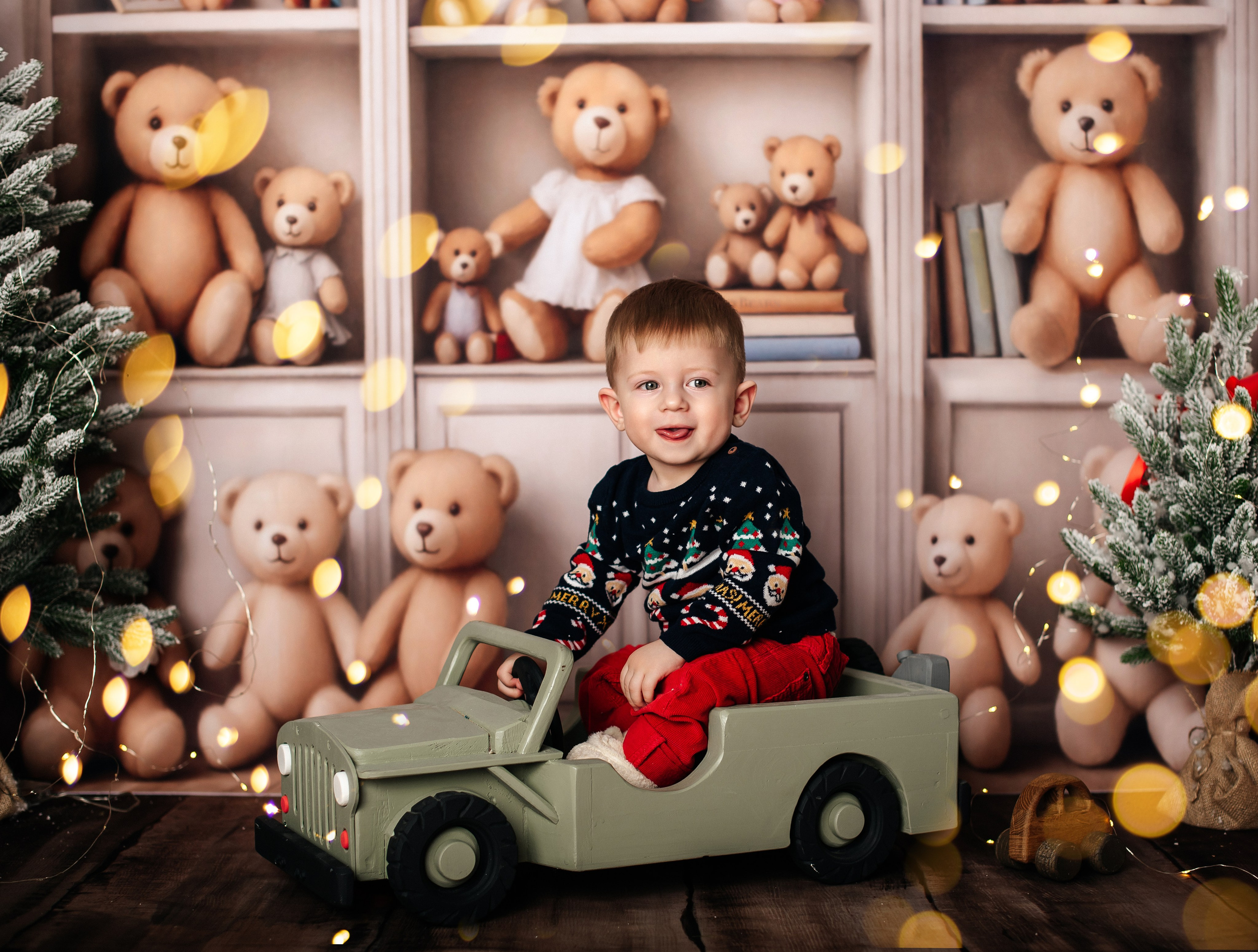 Новый год. Фотограф новорожденных и беременности Сергиев Посад Усачева Ирина