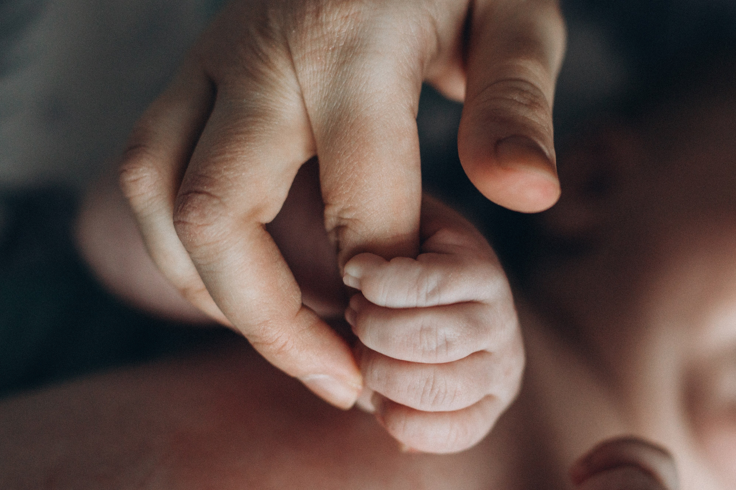 Фотограф для семейной съемки | Екатерина | Портфолио, цены, идеи. Фотограф уникального направления ньюборн в Москве Екатерина Буценина