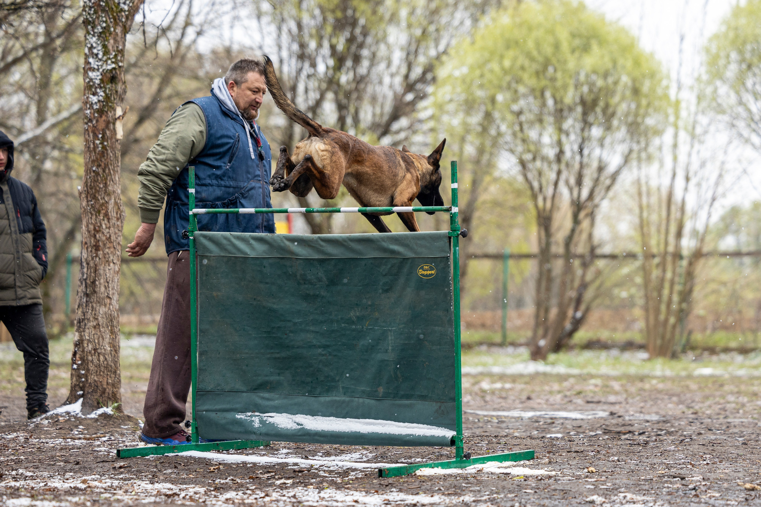 Квалификационные состязания по мондьорингу г. Вологда 11.05.24. Фотограф-анималист Анна Маринич