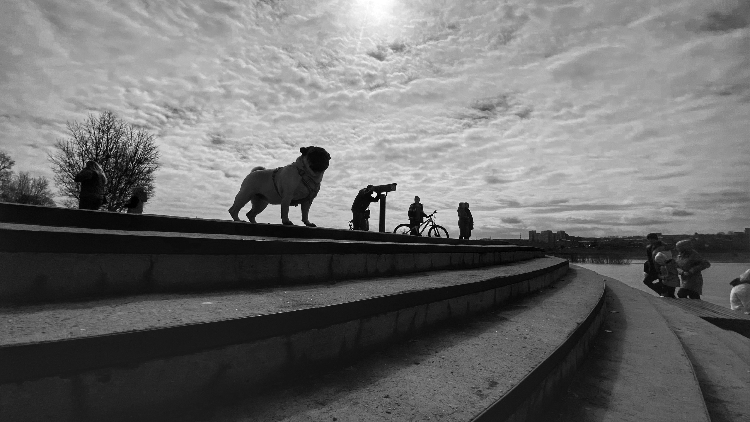 2024. Тащилин Сергей. Фотографии. Жизнь. Хобби