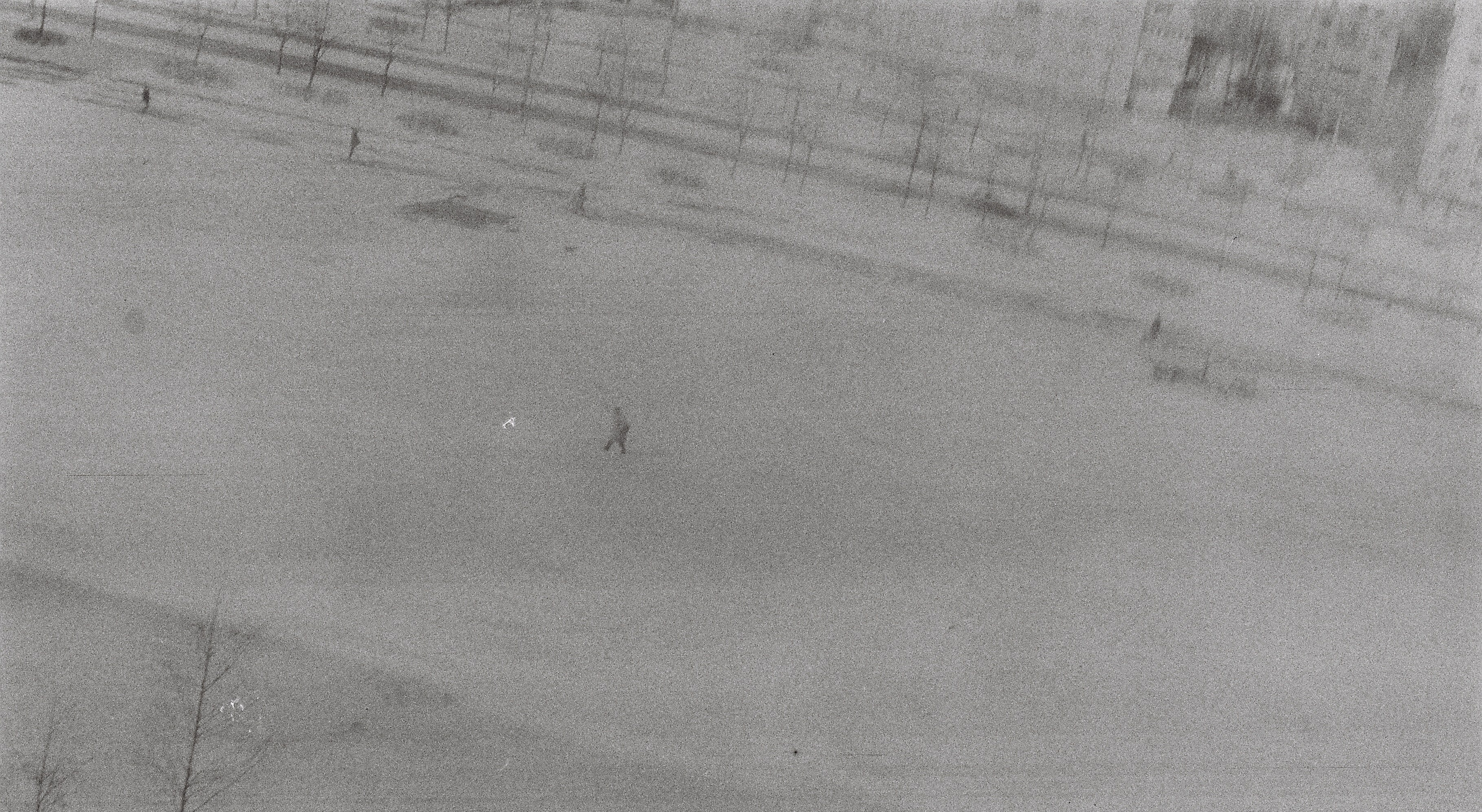 Прощай, Гражданка!. Главная