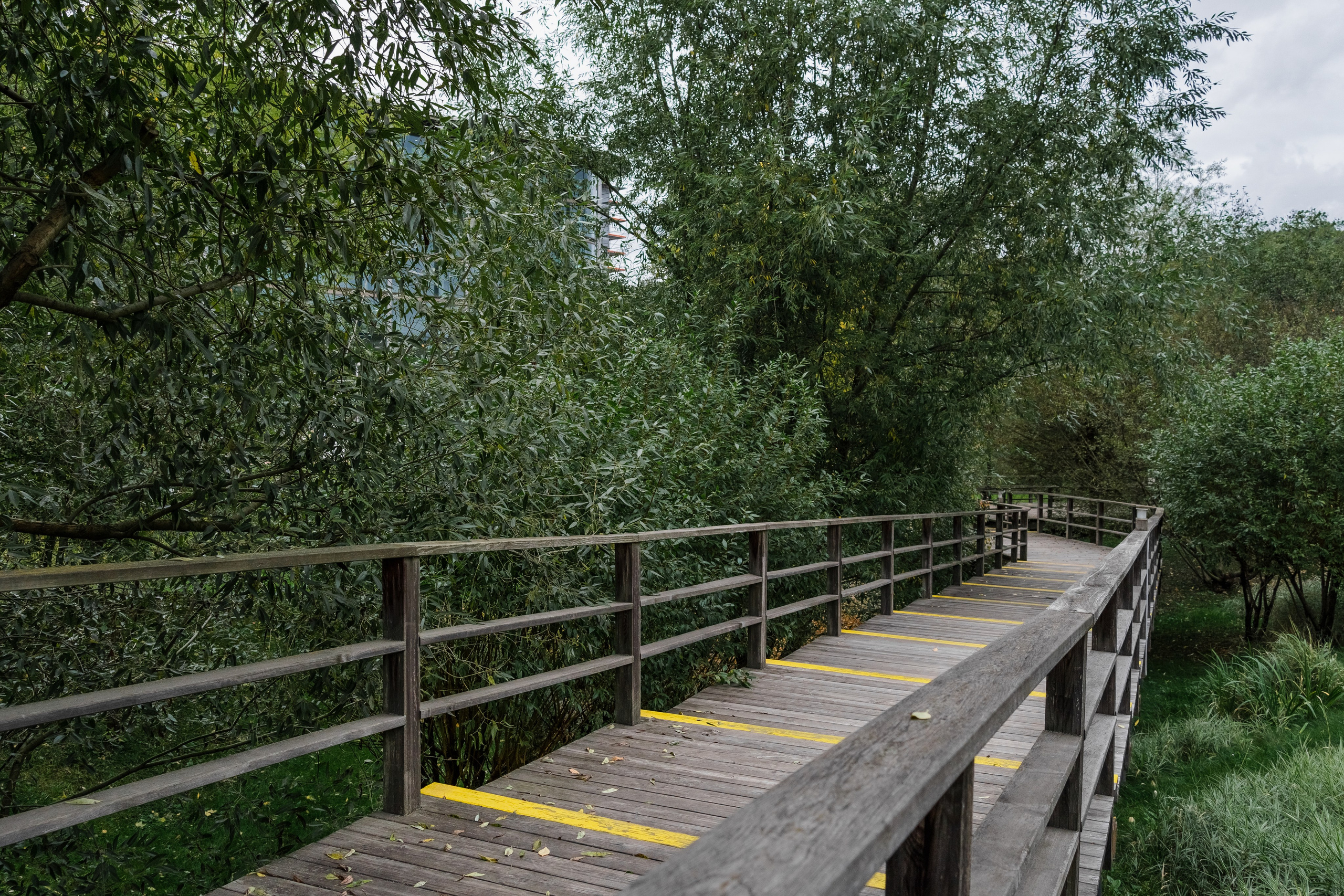Skolkovo Park. Артамонов Александр | Архитектурный и ландшафтный фотограф