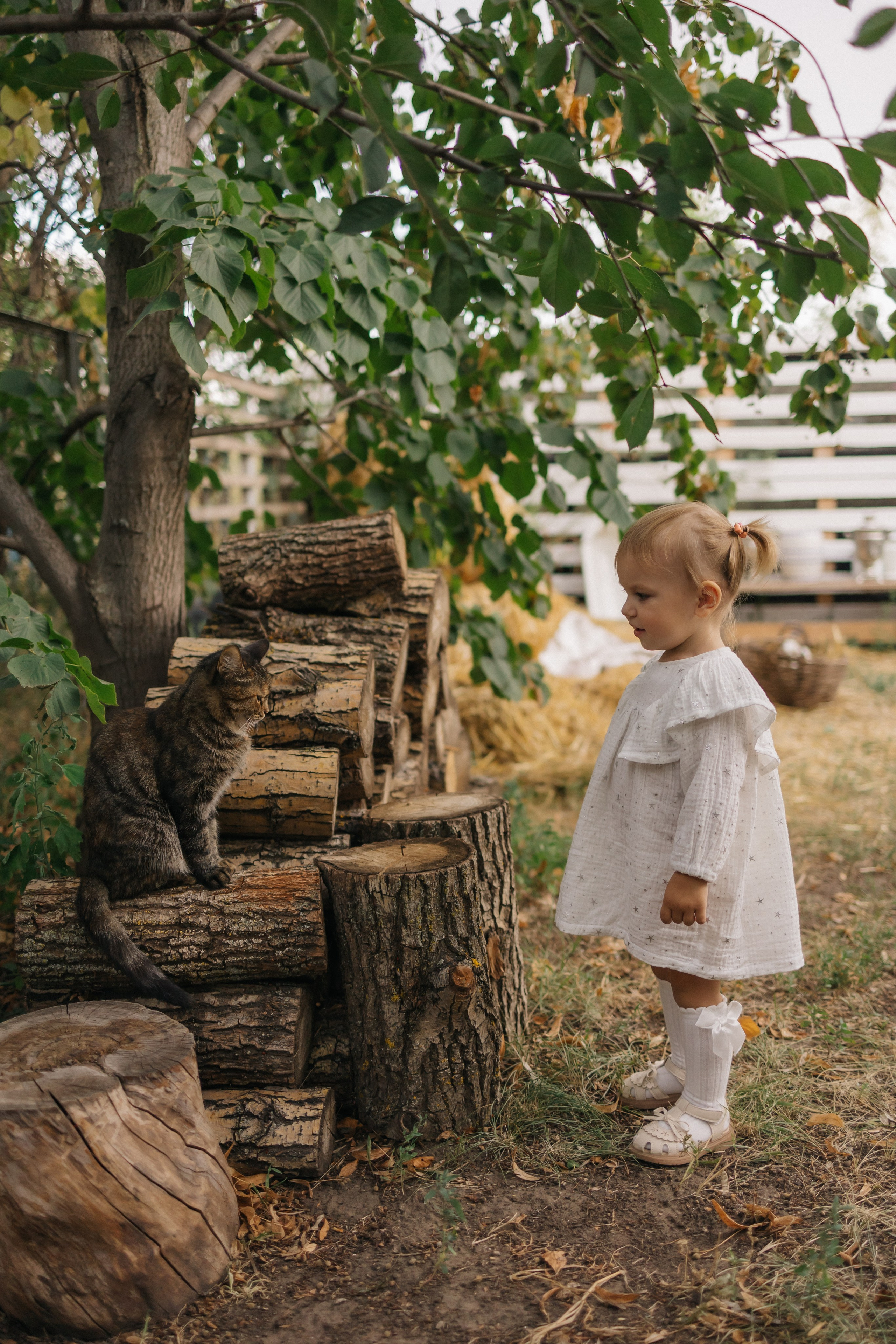 Семейная история. СЕМЕЙНЫЙ ФОТОГРАФ В САРАТОВЕ