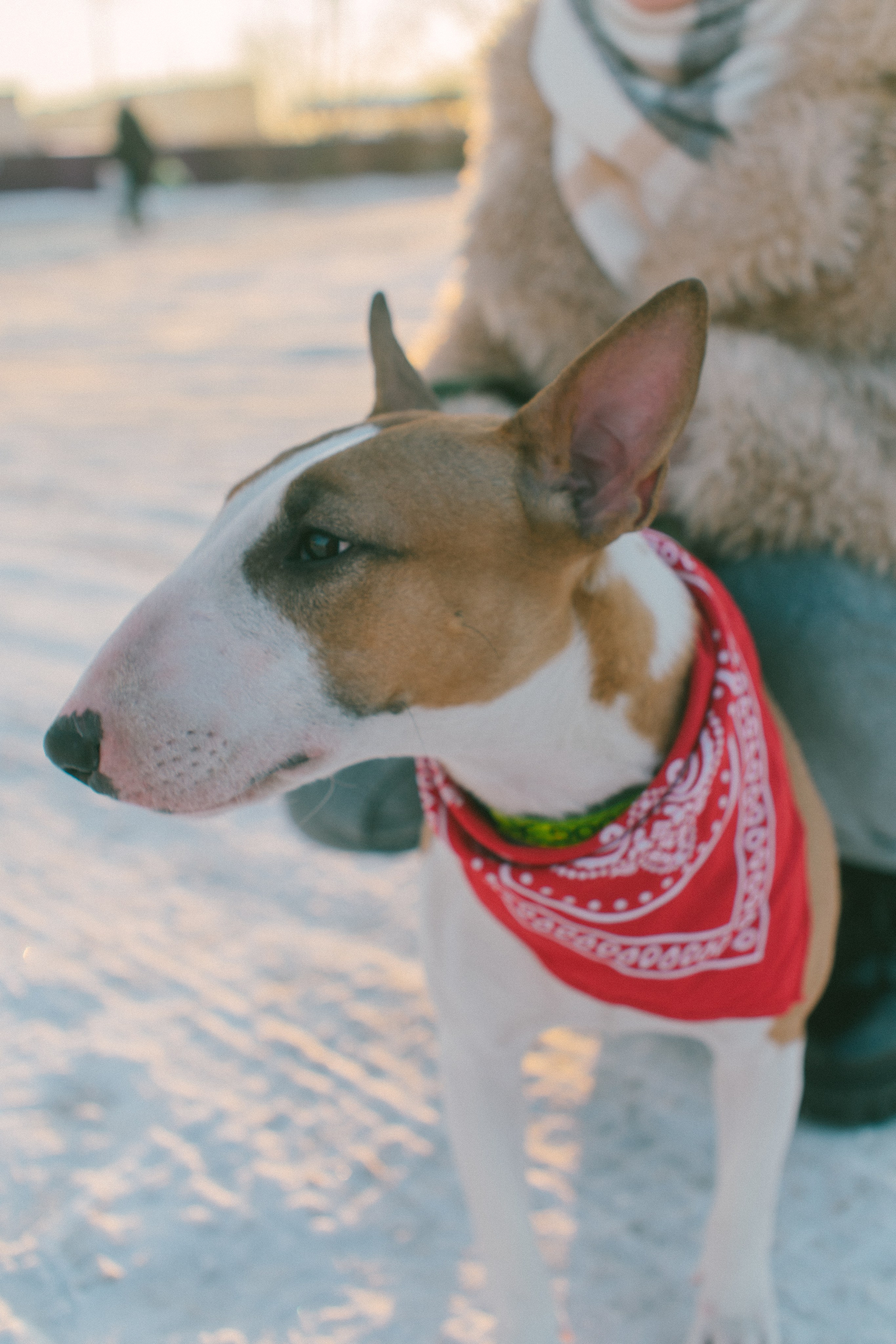 Булка. Евгения Арефьева — свадебный и портретный фотограф в Чите