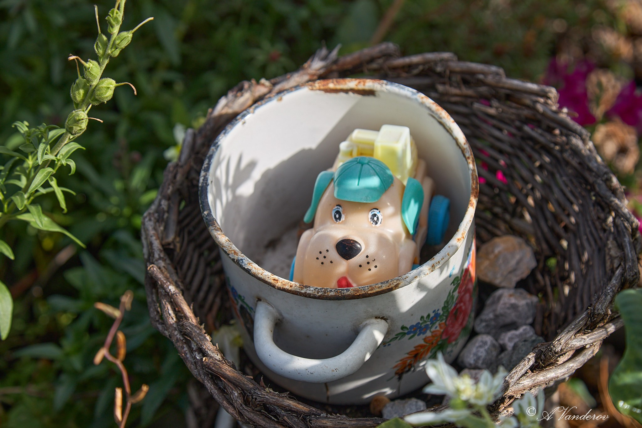 Село Савкино Баганского района Новосибирской области. Фотограф Омск | Александр Вандеров