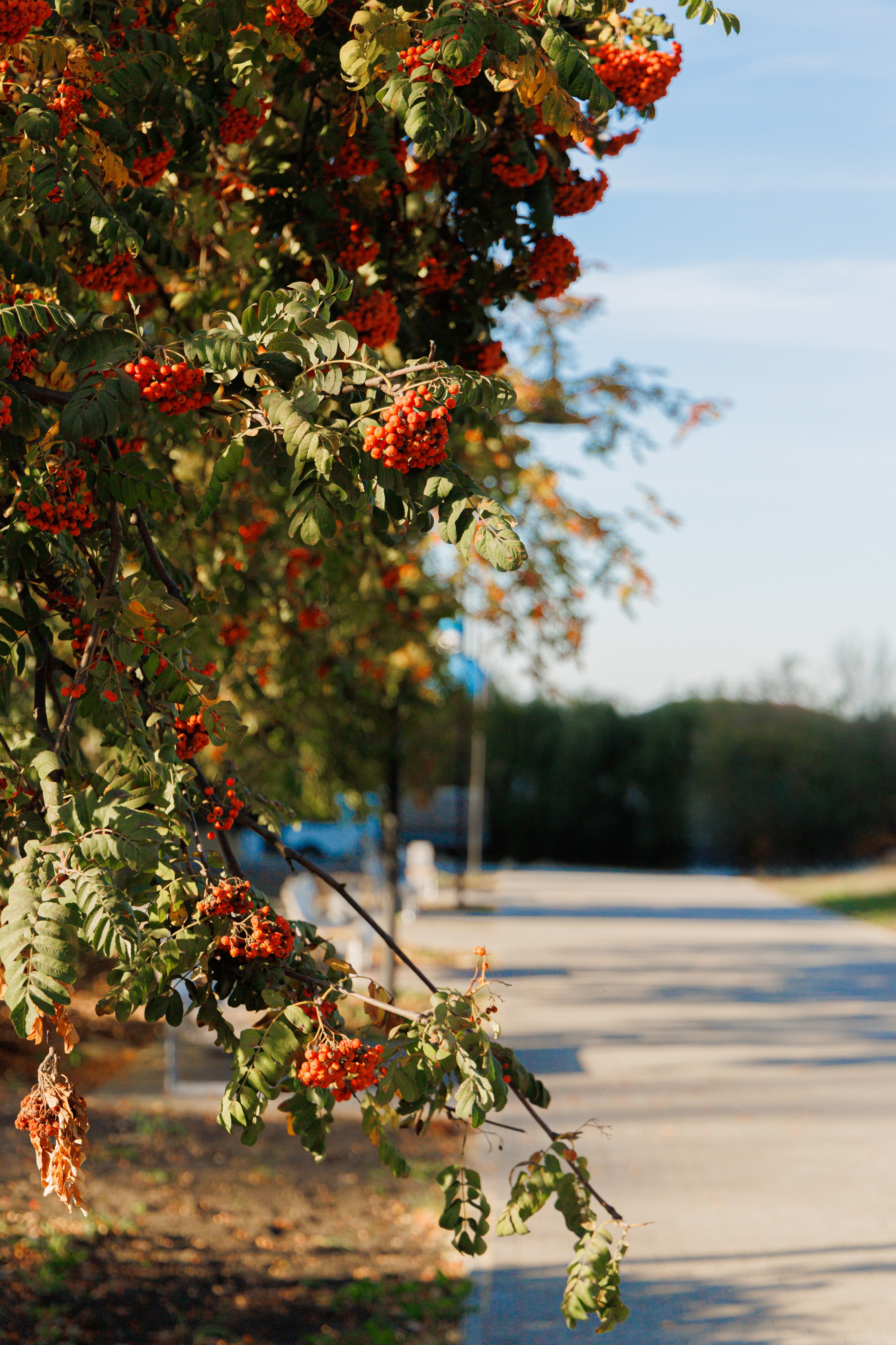 Фотоэкспедиция для ЯндексКарты в г. Алатырь. Интерьерный, предметный фуд-фотограф в Нижнем Новгороде Наталья Латыпова