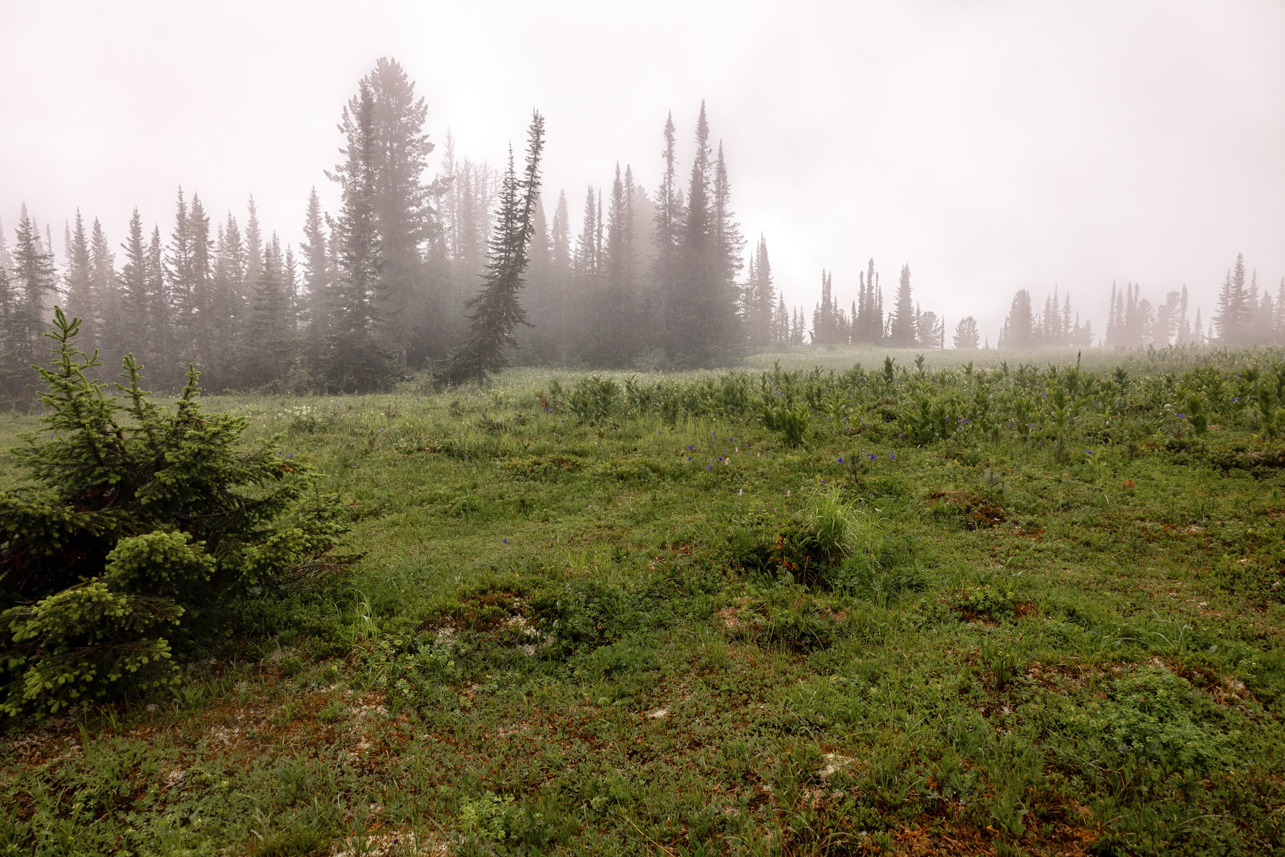 Ергаки. Семейный и детский фотограф в Красноярске, Дивногорцева Светлана