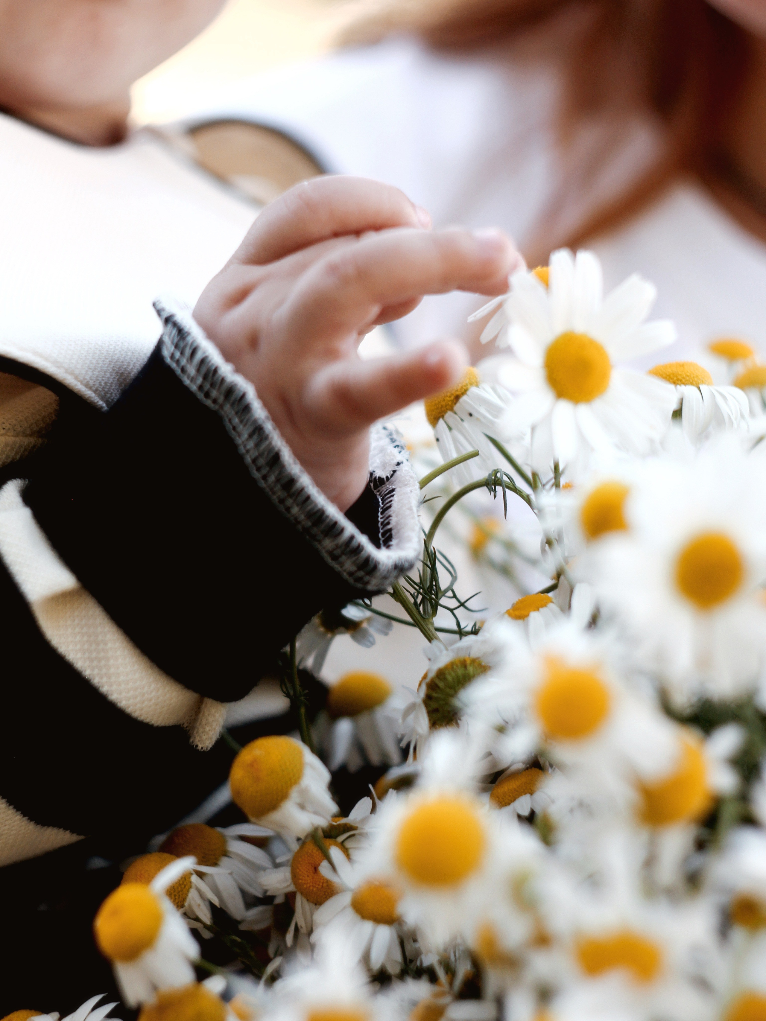 Семейная. Photography Eva