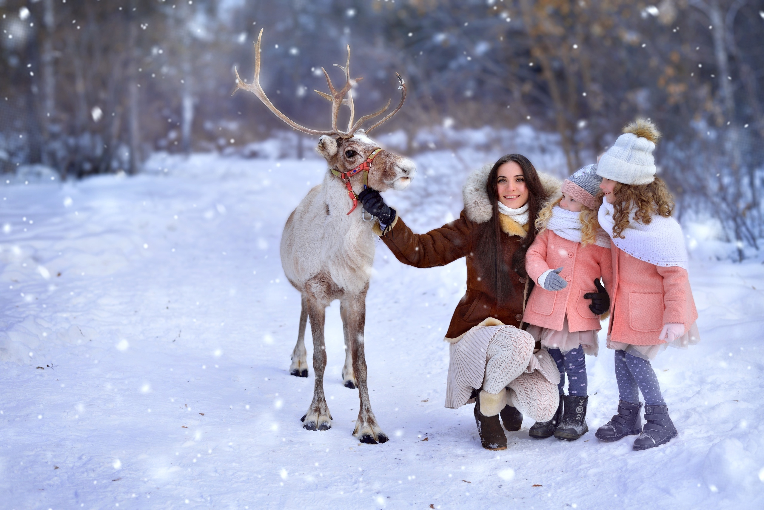 Новогодние фотосессии. Свадебный и семейный фотограф в Липецке Натали Бриз