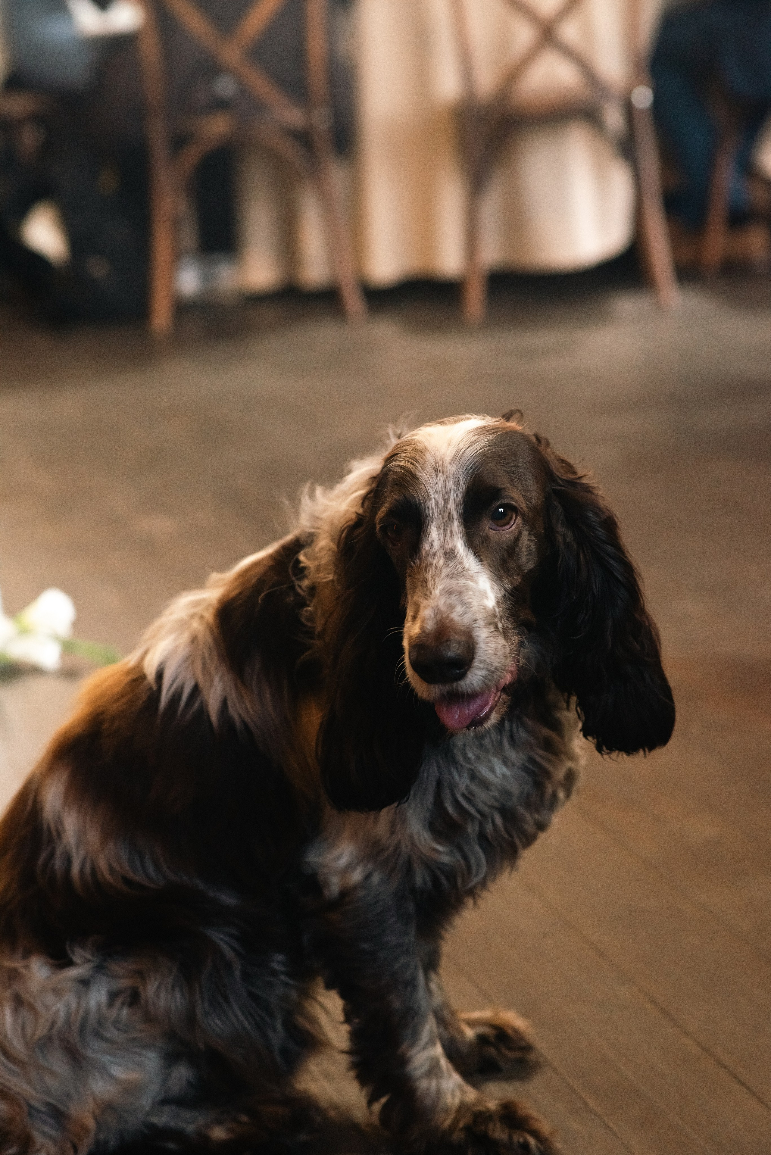 Ранчо. Фотограф, визажист. Москва