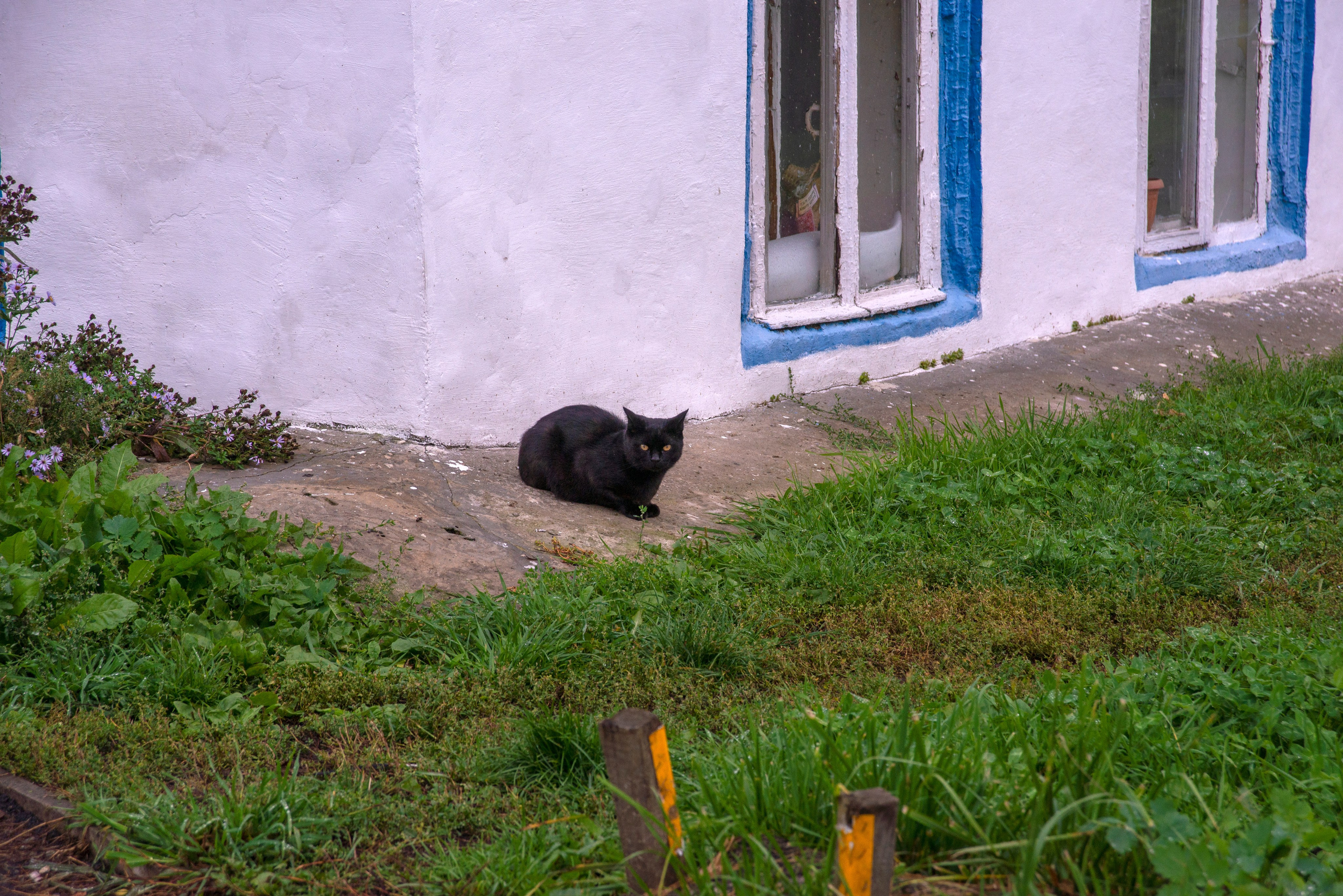 Суздаль. 20 сентября 2025. Игорь Жучков. Россия увиденная глазами путешествующего фотографа