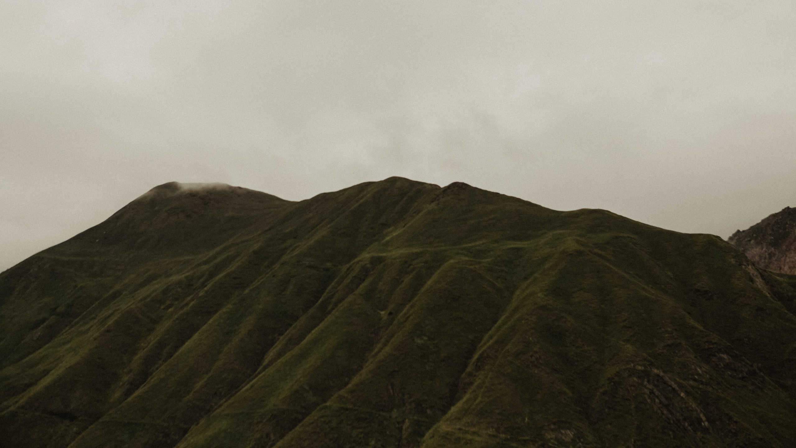 Грузинские каникулы. Violetta Skripka