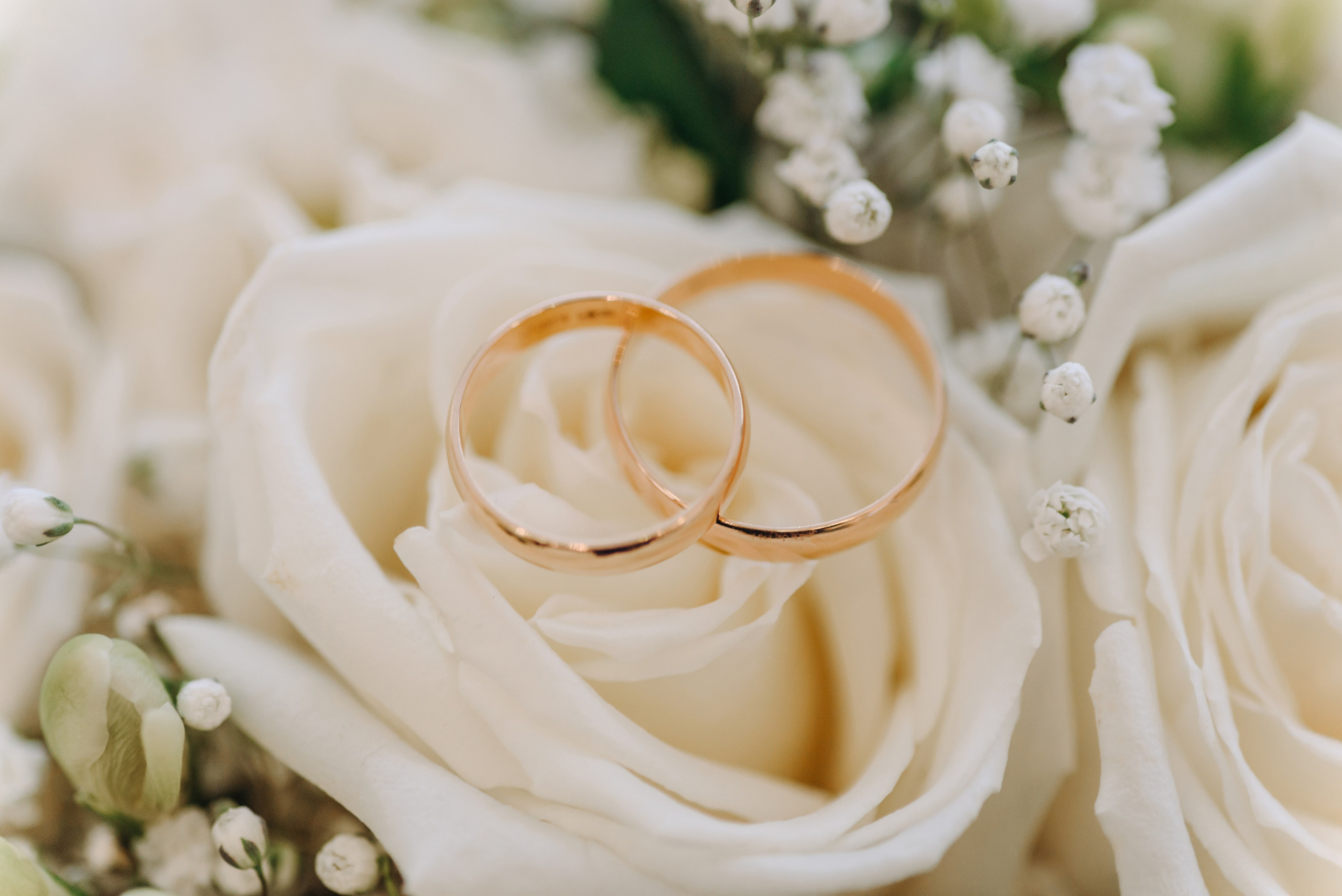 Алина и Сергей. Свадебный фотограф Антон Пентегов