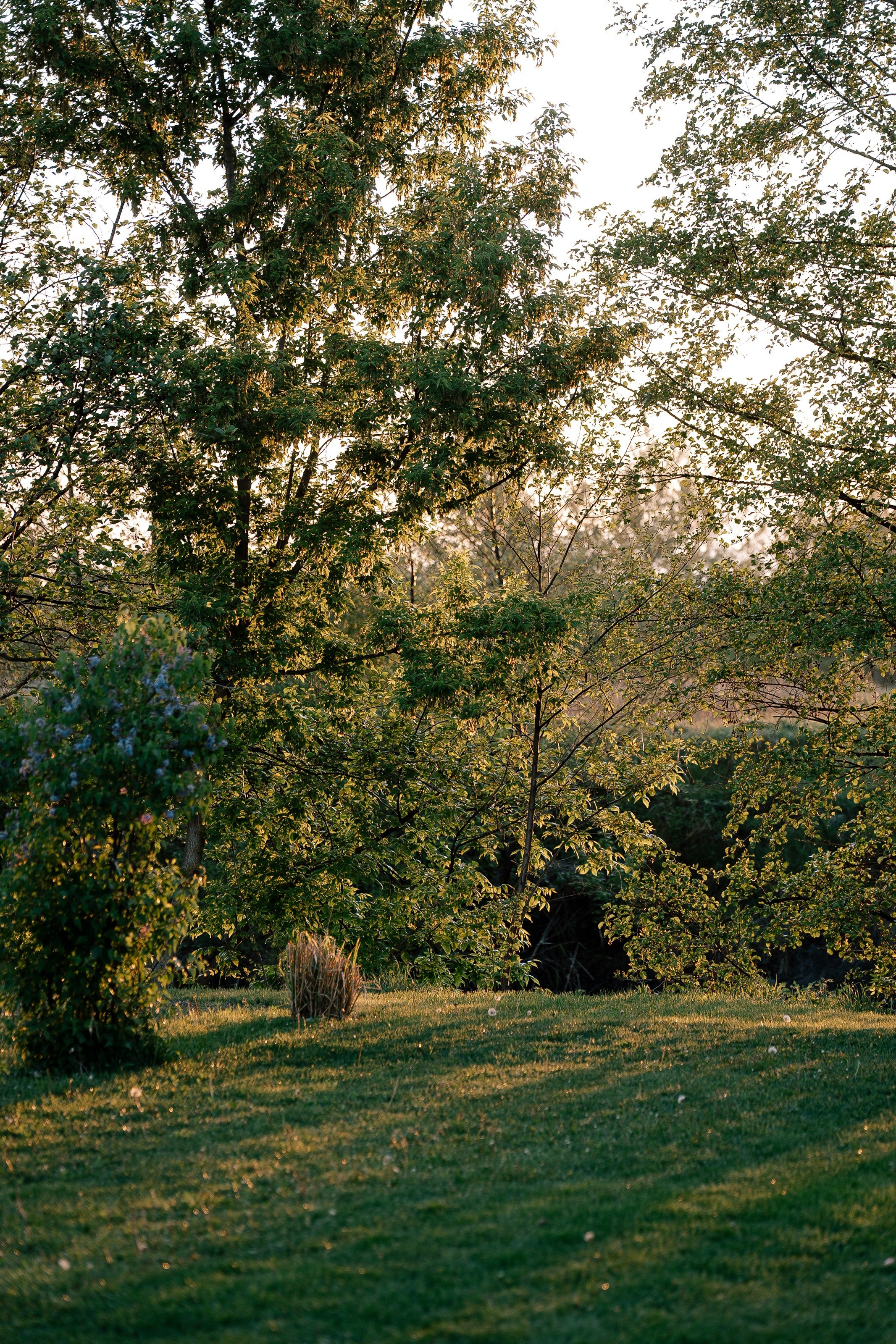 Виталий Елена. Свадебный фотограф Воронеж
