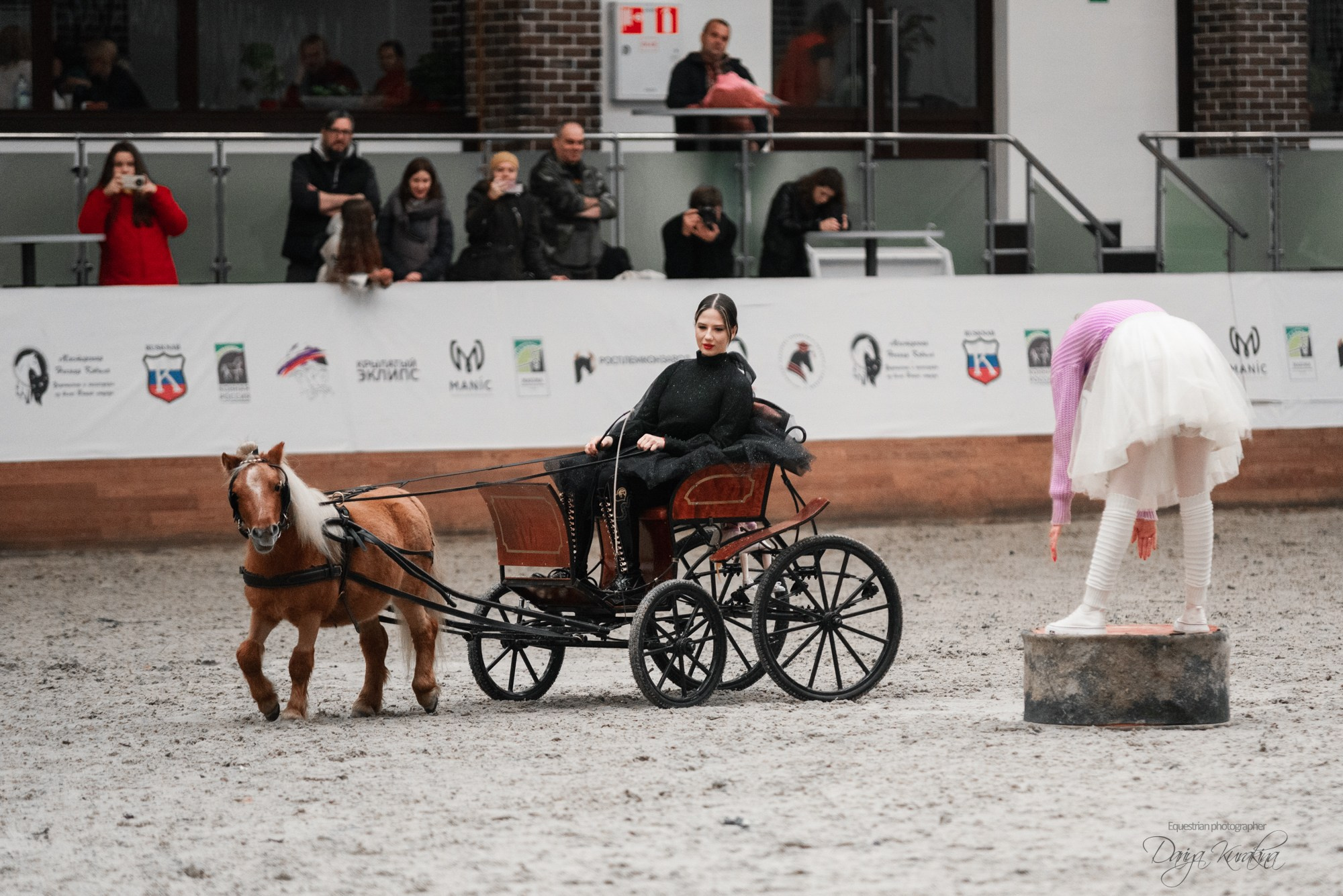 8-я международная выставка Конная Россия. Конный фотограф Куракина Дарья • Фотосессии с лошадьми