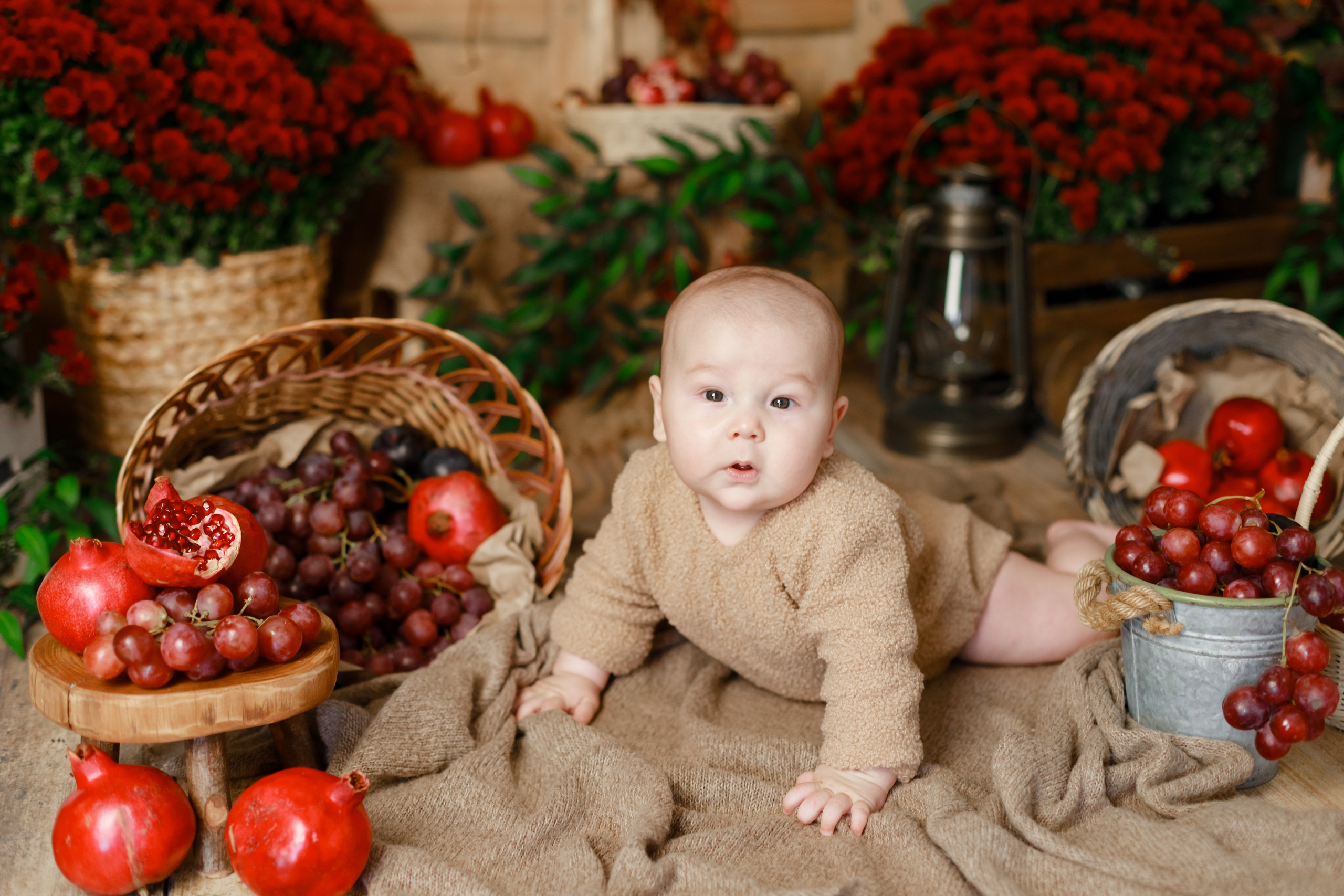 Гранаты 2024. Детский и семейный фотограф в Краснодаре Альбина Морозова