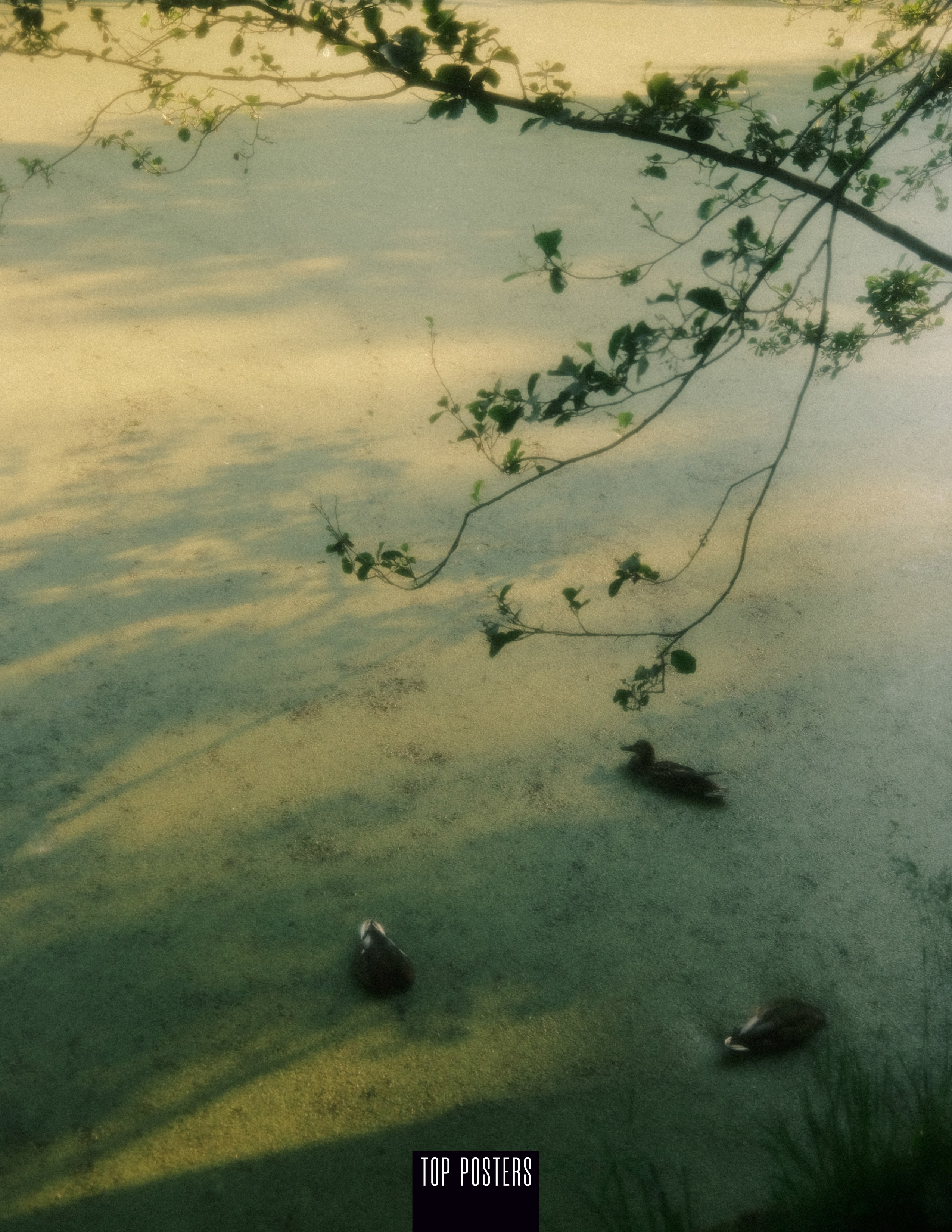 Портретный фотограф