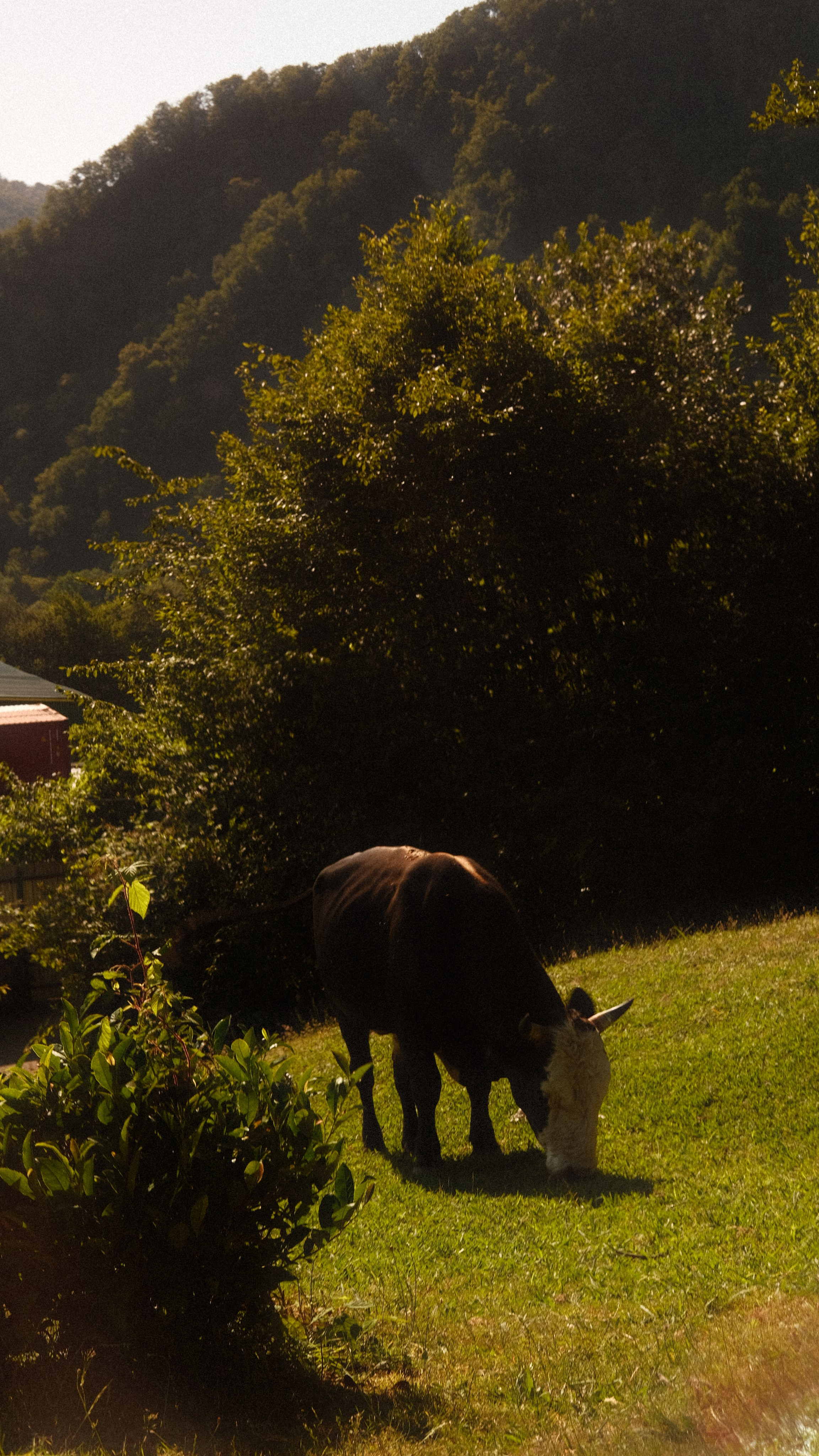 Сочи. Фотограф Сергей Красников