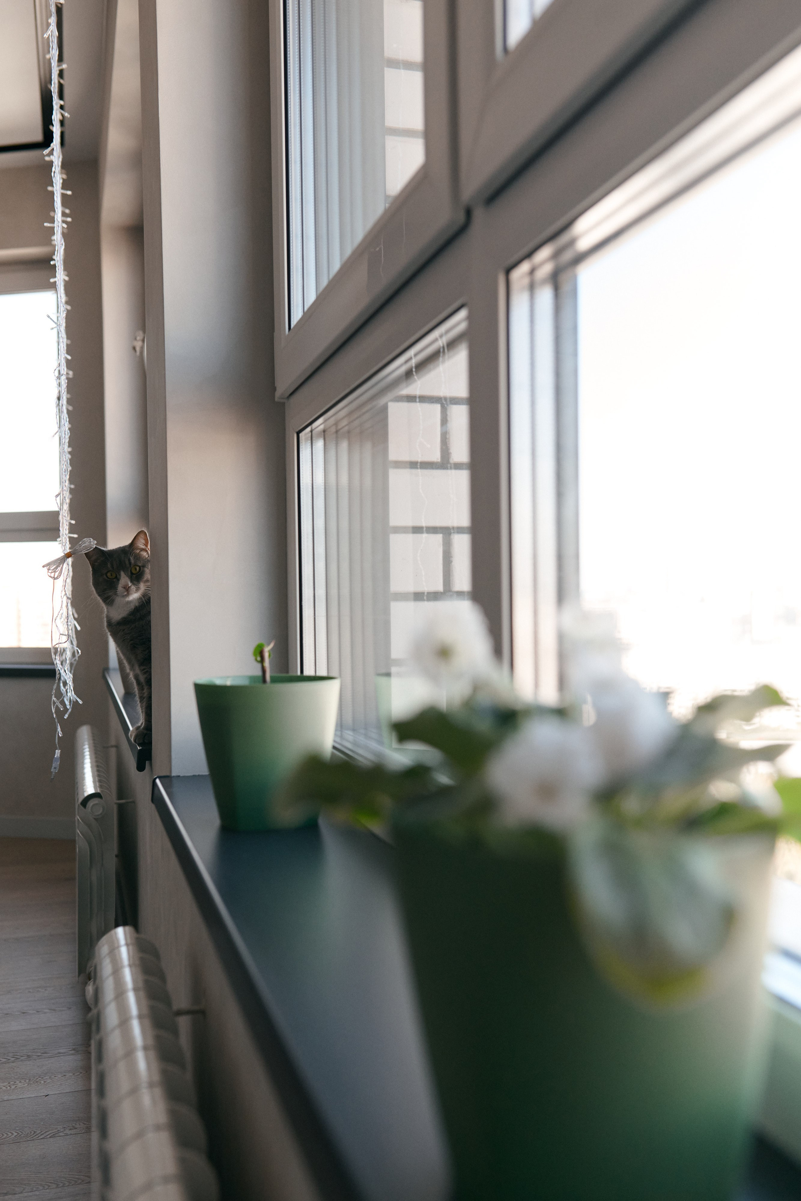 Фотоистория одной пиццы. Сергей Богомолов. Свадебный и семейный фотограф