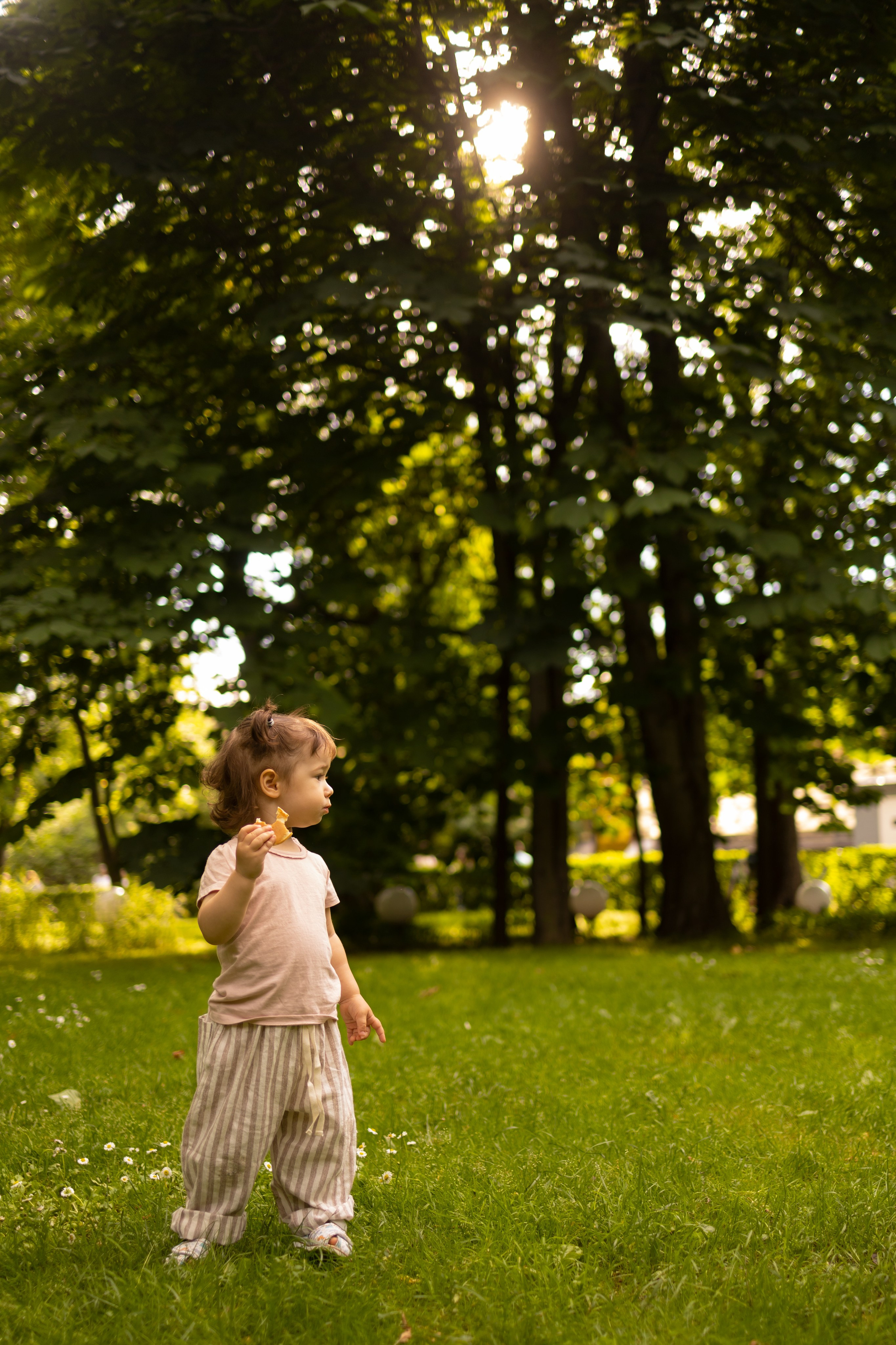 Boho wigwam (summer 2024). Семейный и детский фотограф, фотограф беременности, ньюборн в Москве