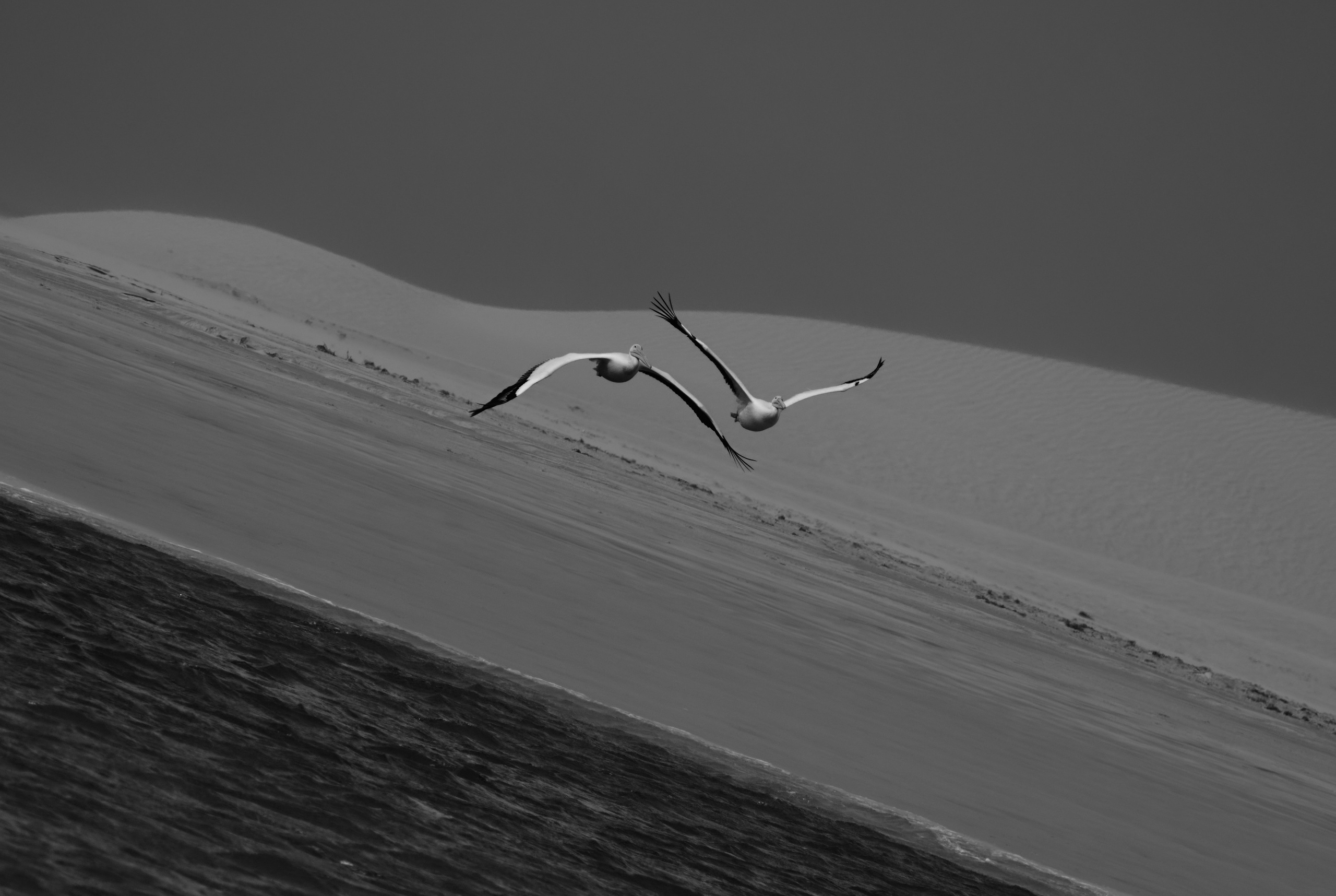 Morocco-Gambia. See the moment and catche. commercial and reportage