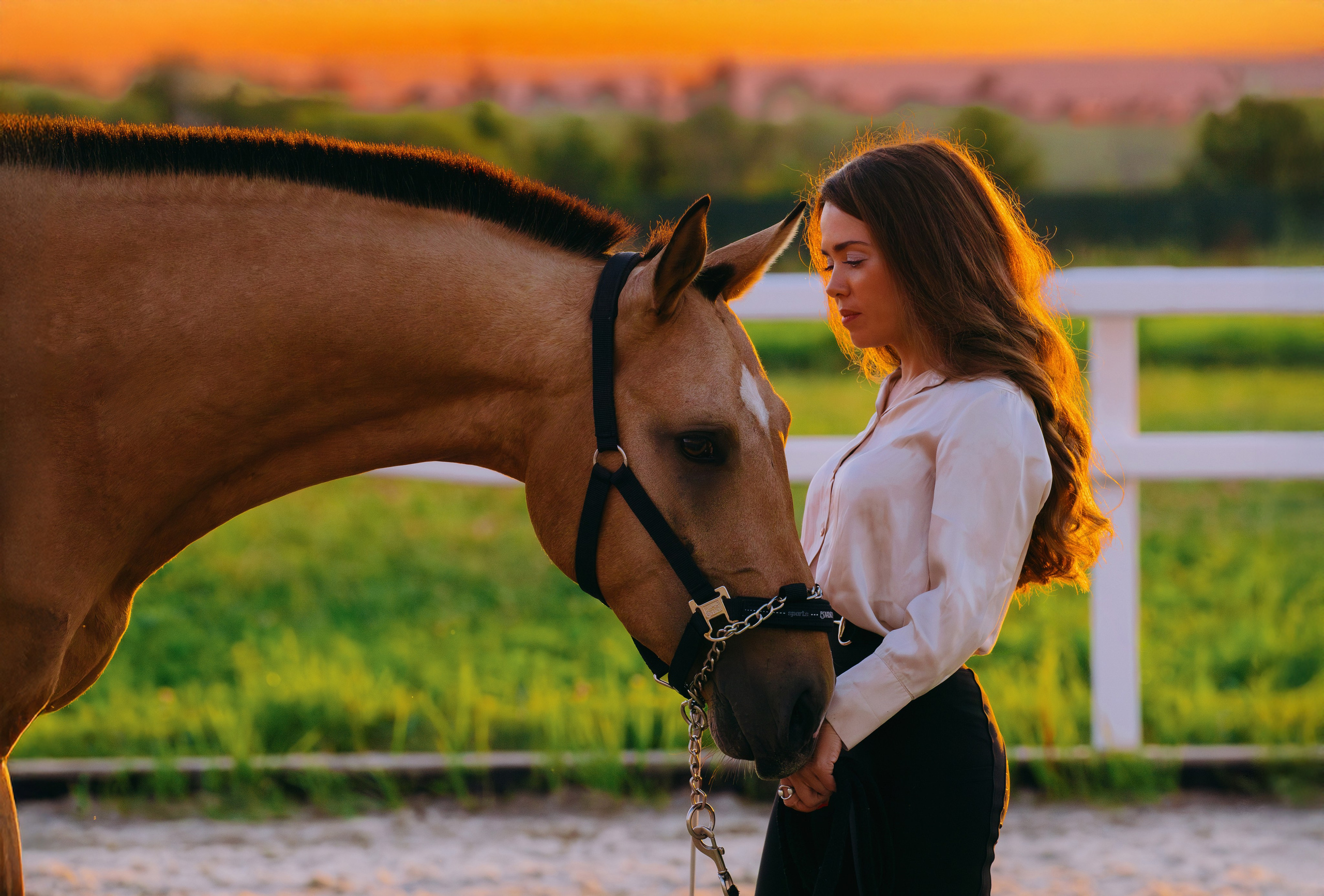 Лена и Персей. Фотограф-анималист Ксендзова Кристина