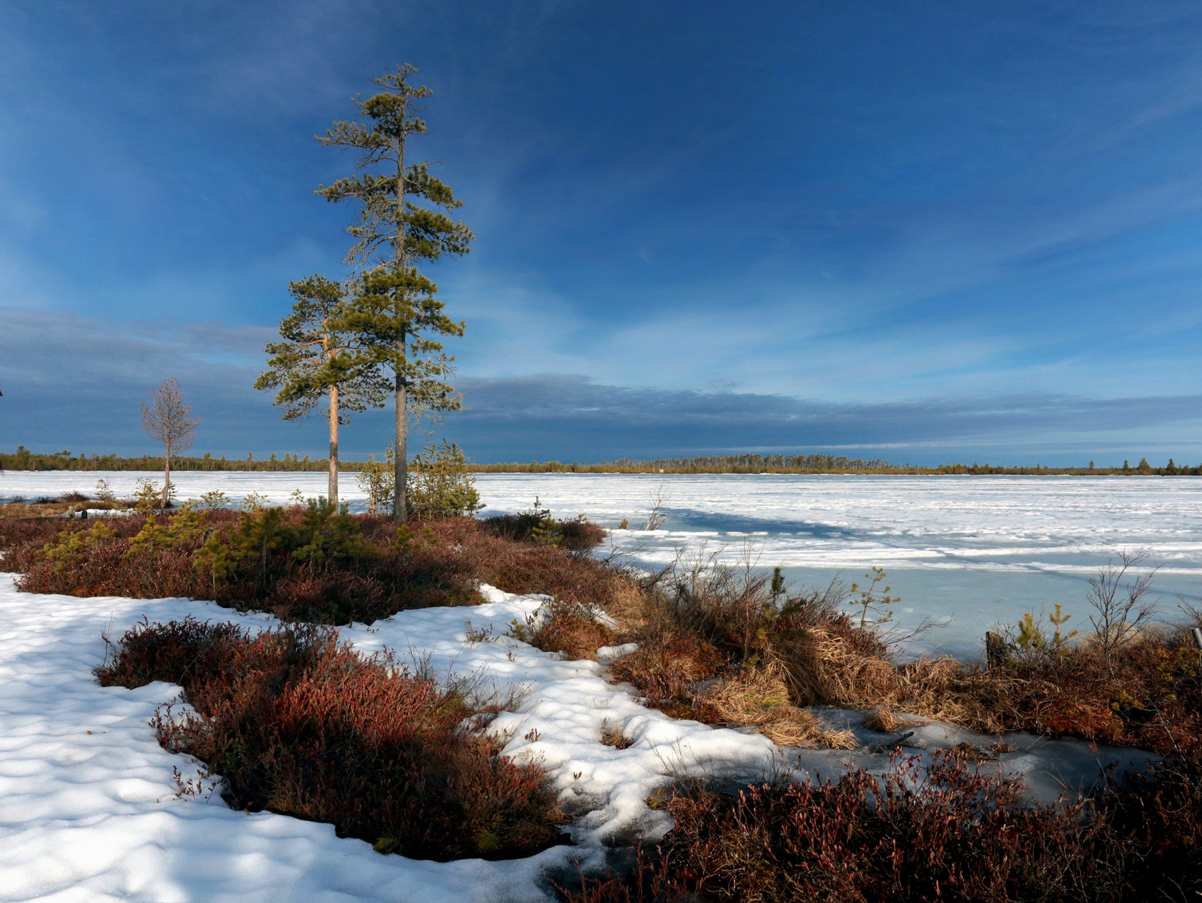 ПЕЙЗАЖИ. Фотограф Татьяна Борисова
