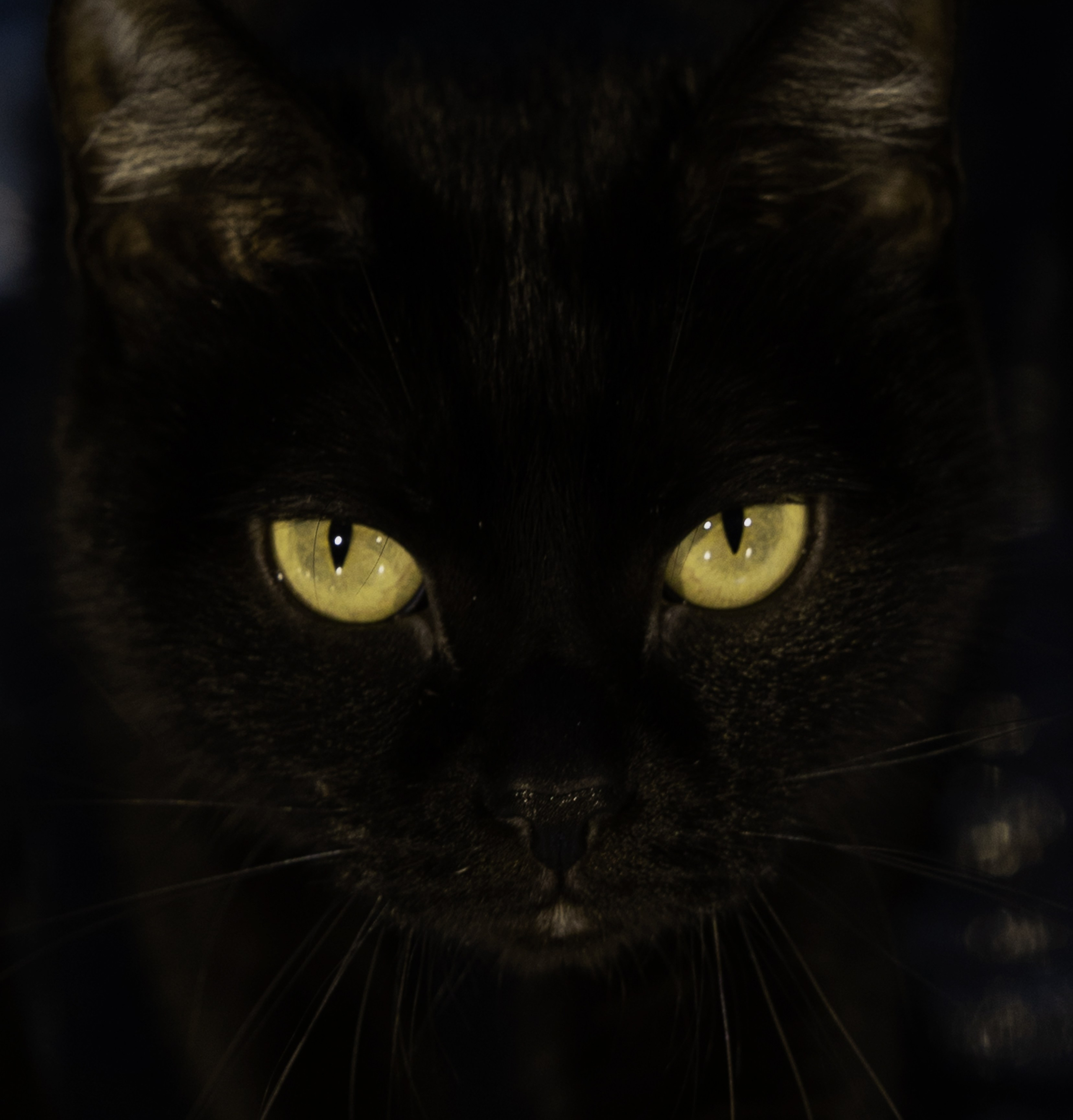 Hypnotism. ITMAG.ME | Visual Art