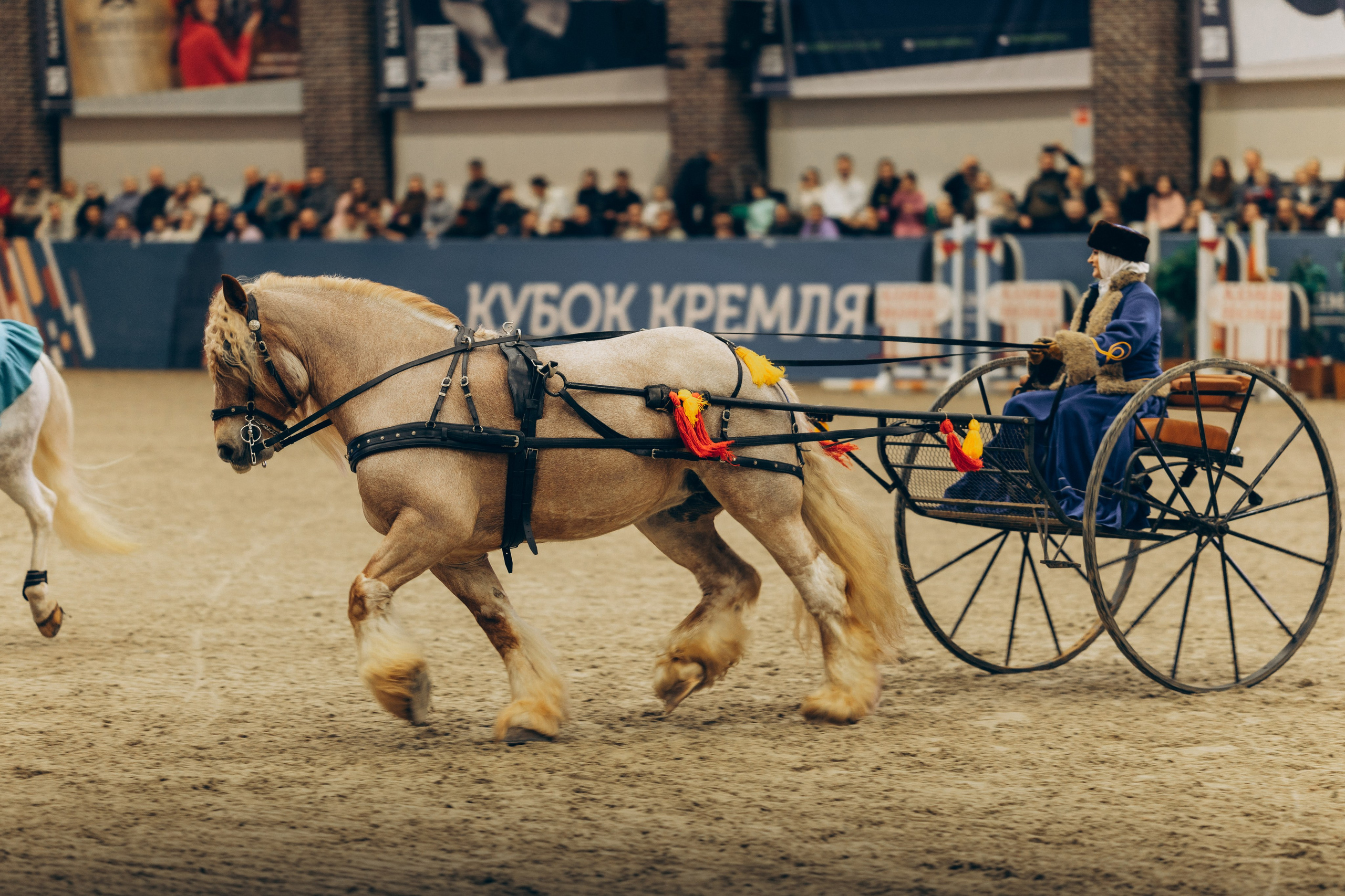 MaximaPark. Репортажный и lifestyle фотограф Сергей Пелипенко