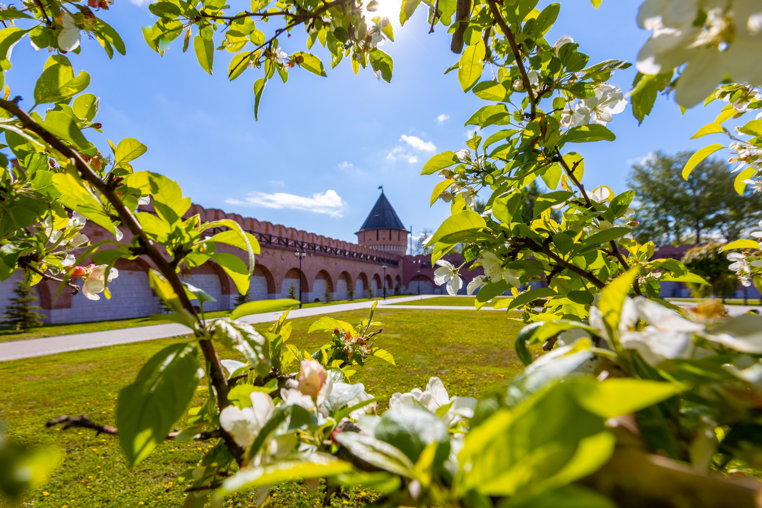 Весеннее цветение в Туле. Фотограф в Туле Крупский АнДРей. Фотостудия «КАДР71» в Туле