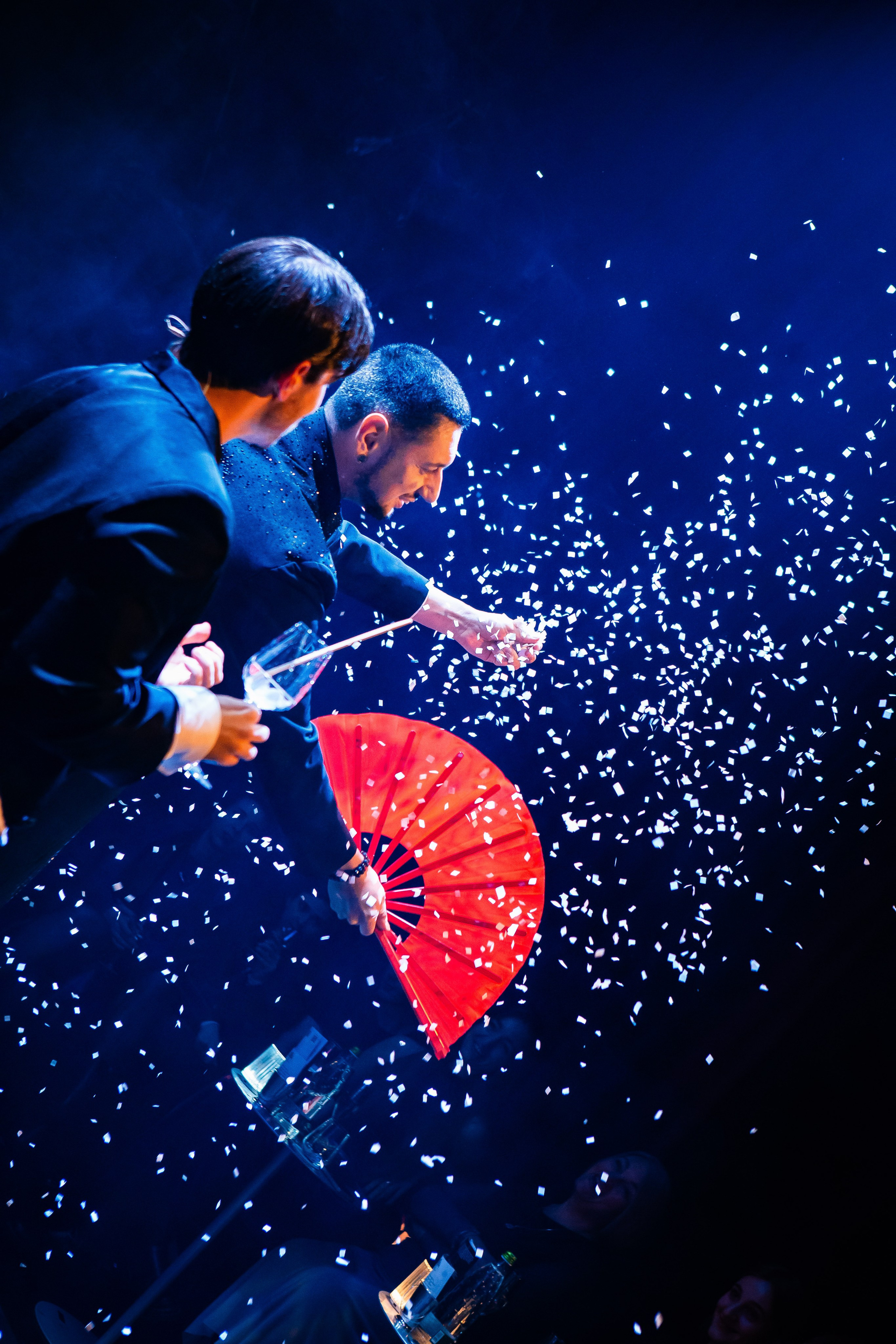 Цирковое шоу. Видеограф Добромыслов