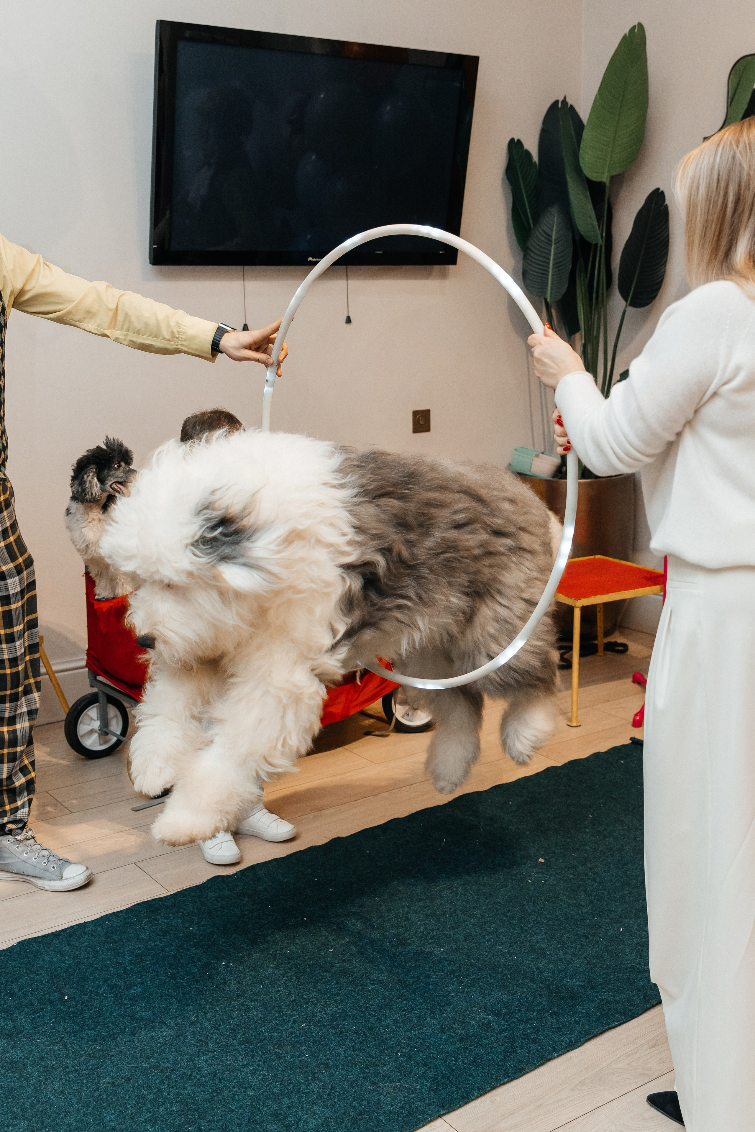 Даниил 4 года. Фотограф Москва Шептаев Артём