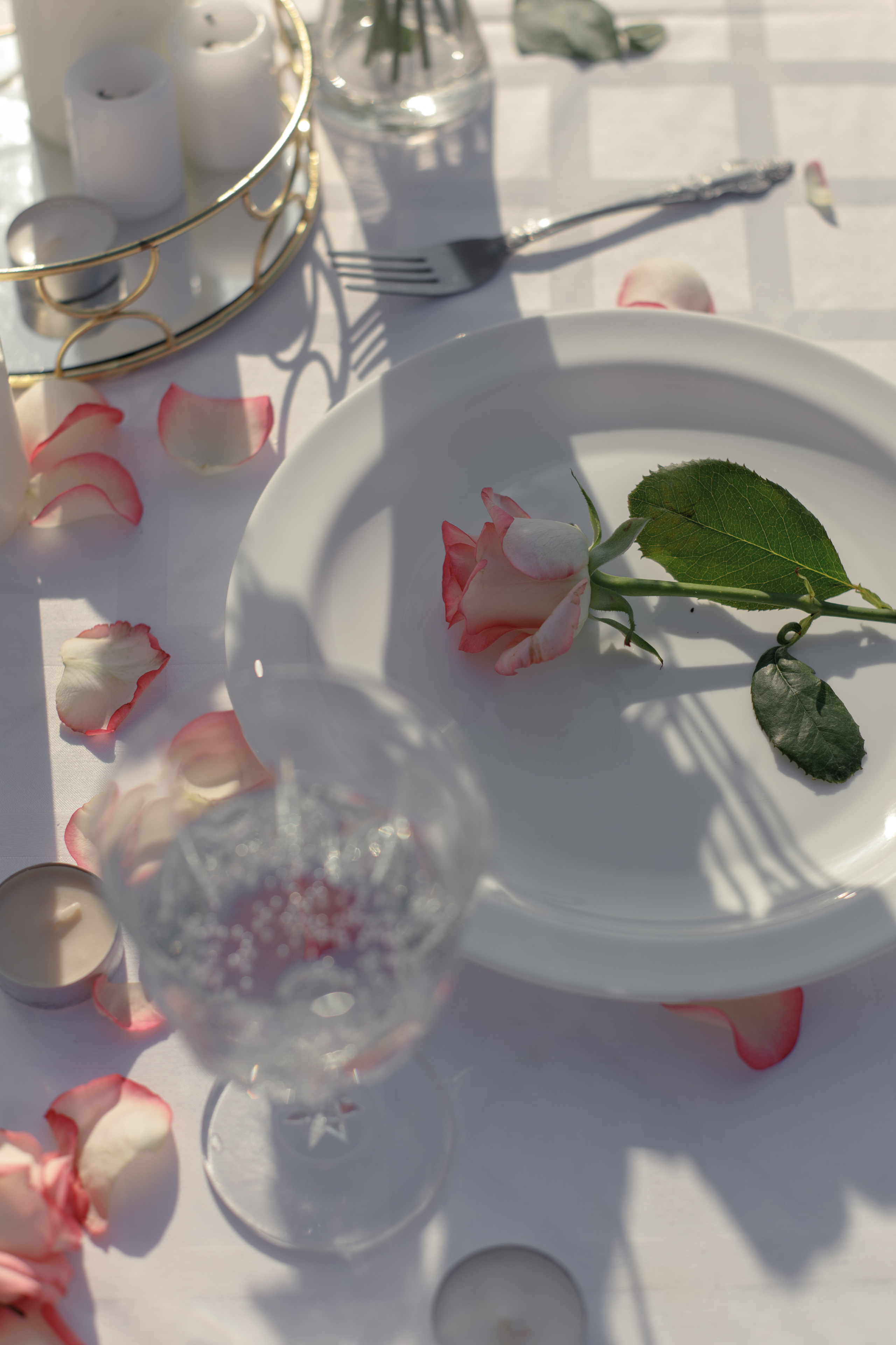 T&A. Твой душевный фотограф — Ирина Амирбекова