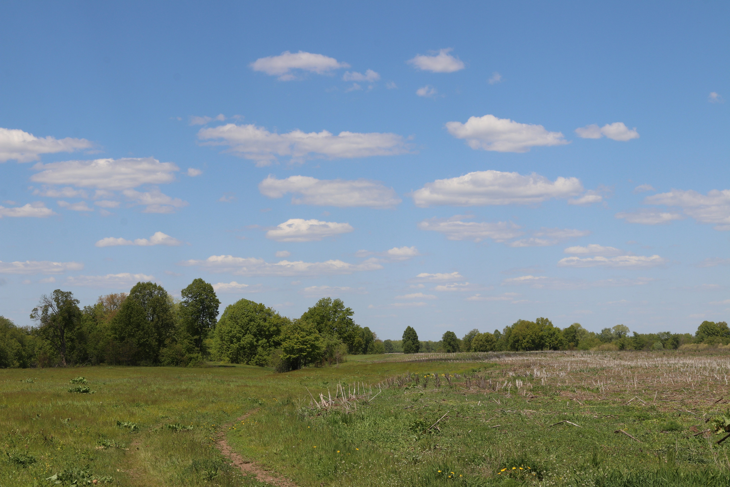 Велопоход Уфа — Мелеуз. Май 2024. Путешественник-фотограф из Санкт-Петербурга Татьяна Свистулина
