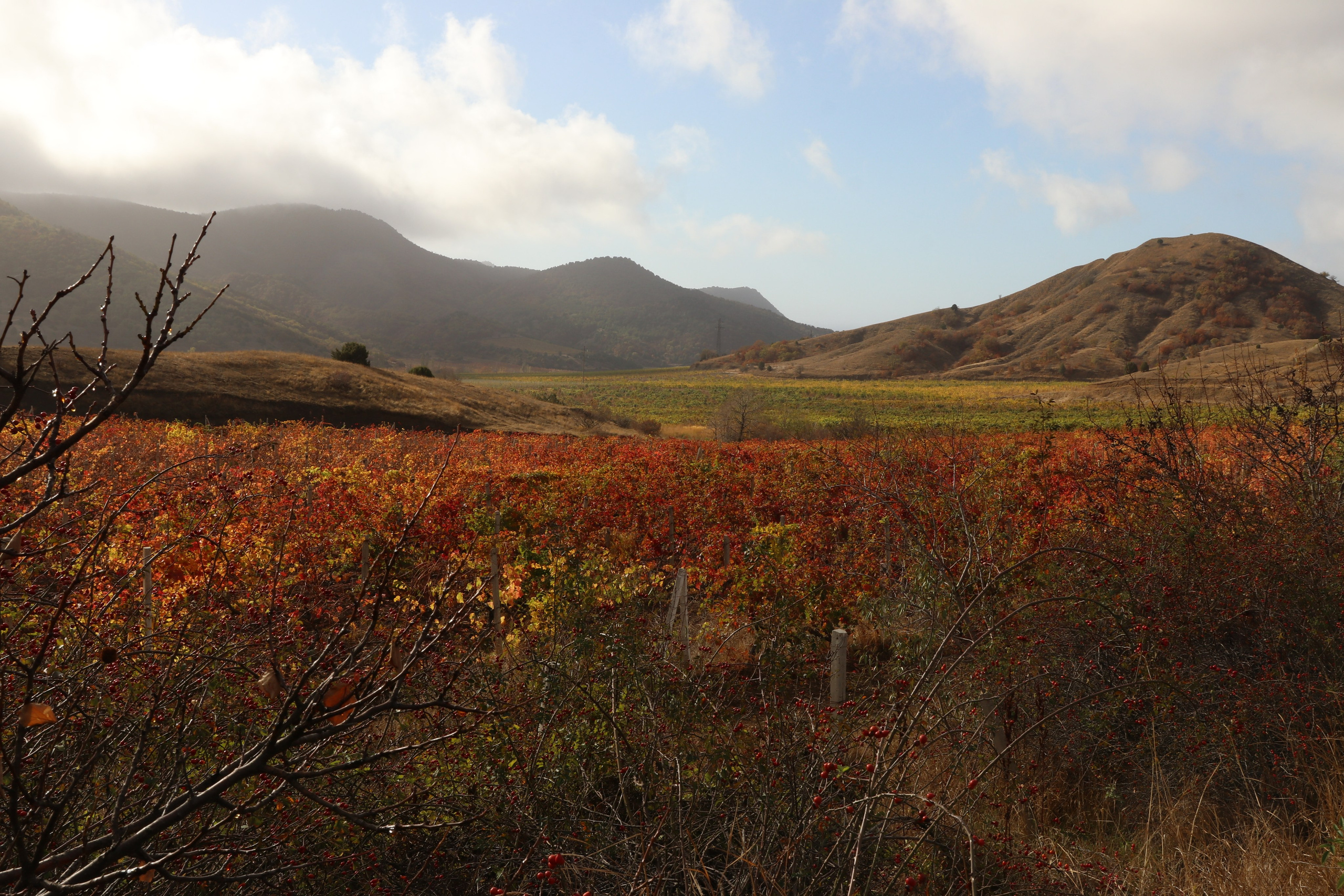 Крым. ЮБК (Гурзуф, Судак и их окрестности). Ноябрь 2023. Путешественник-фотограф из Санкт-Петербурга Татьяна Свистулина