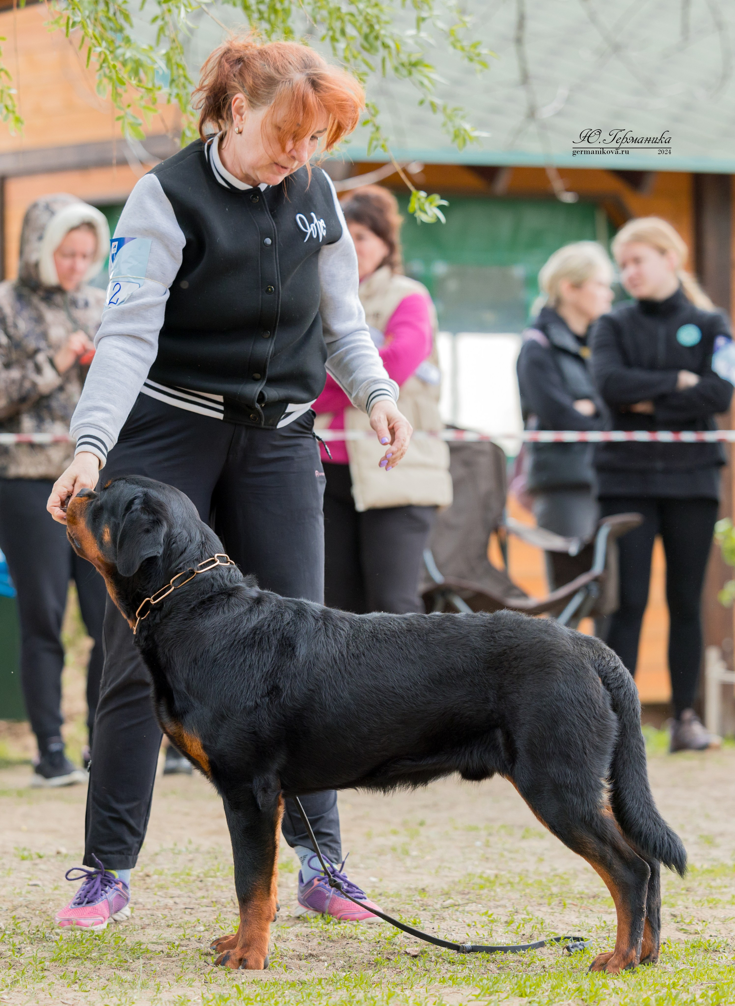 Саратов 2 х моно ротвейлеров 28-29.04.2024. Фотограф-анималист Юлия Германика