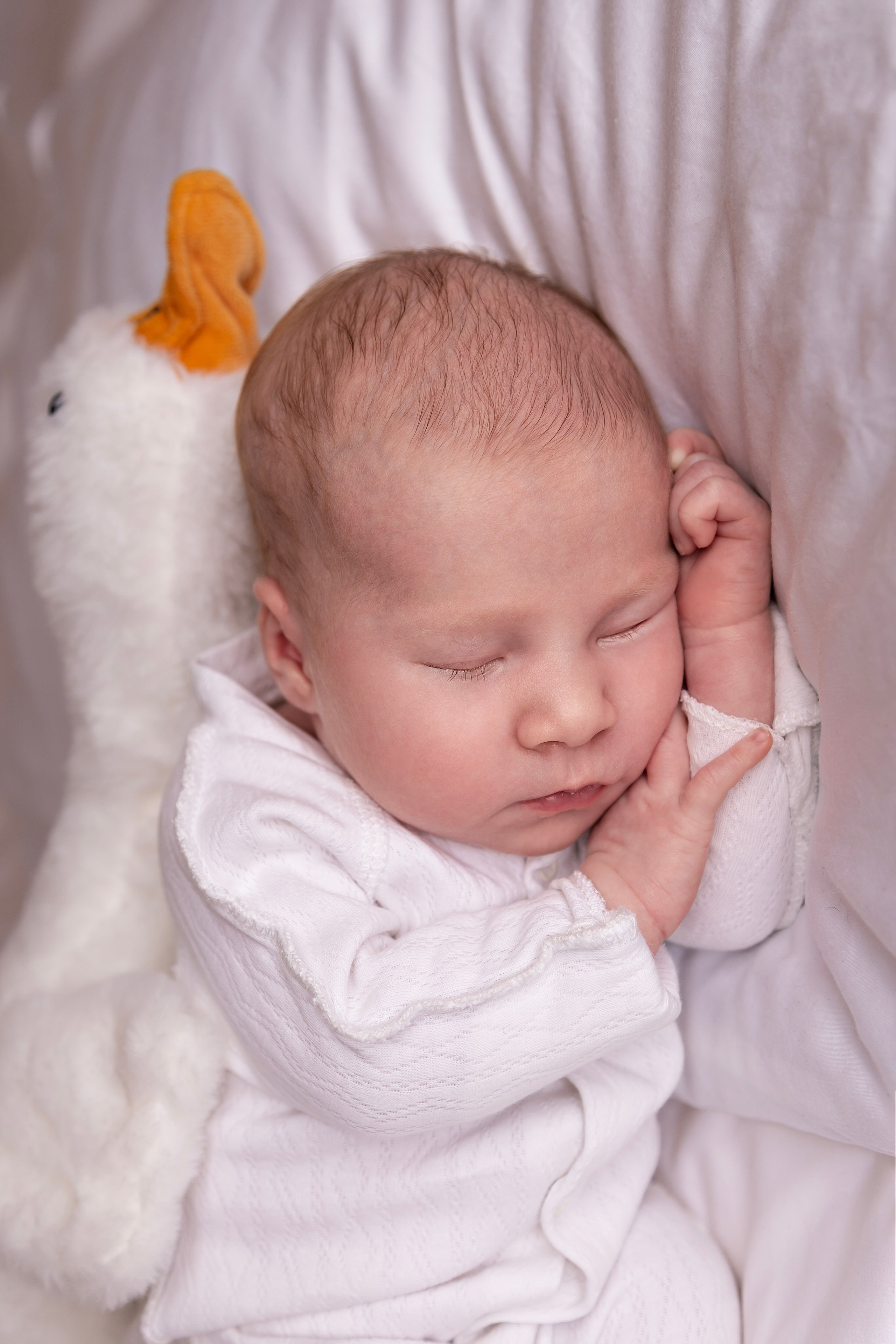 Фотосессия Ульяны. Фотограф новорожденных в Ижевске Анастасия Преснякова