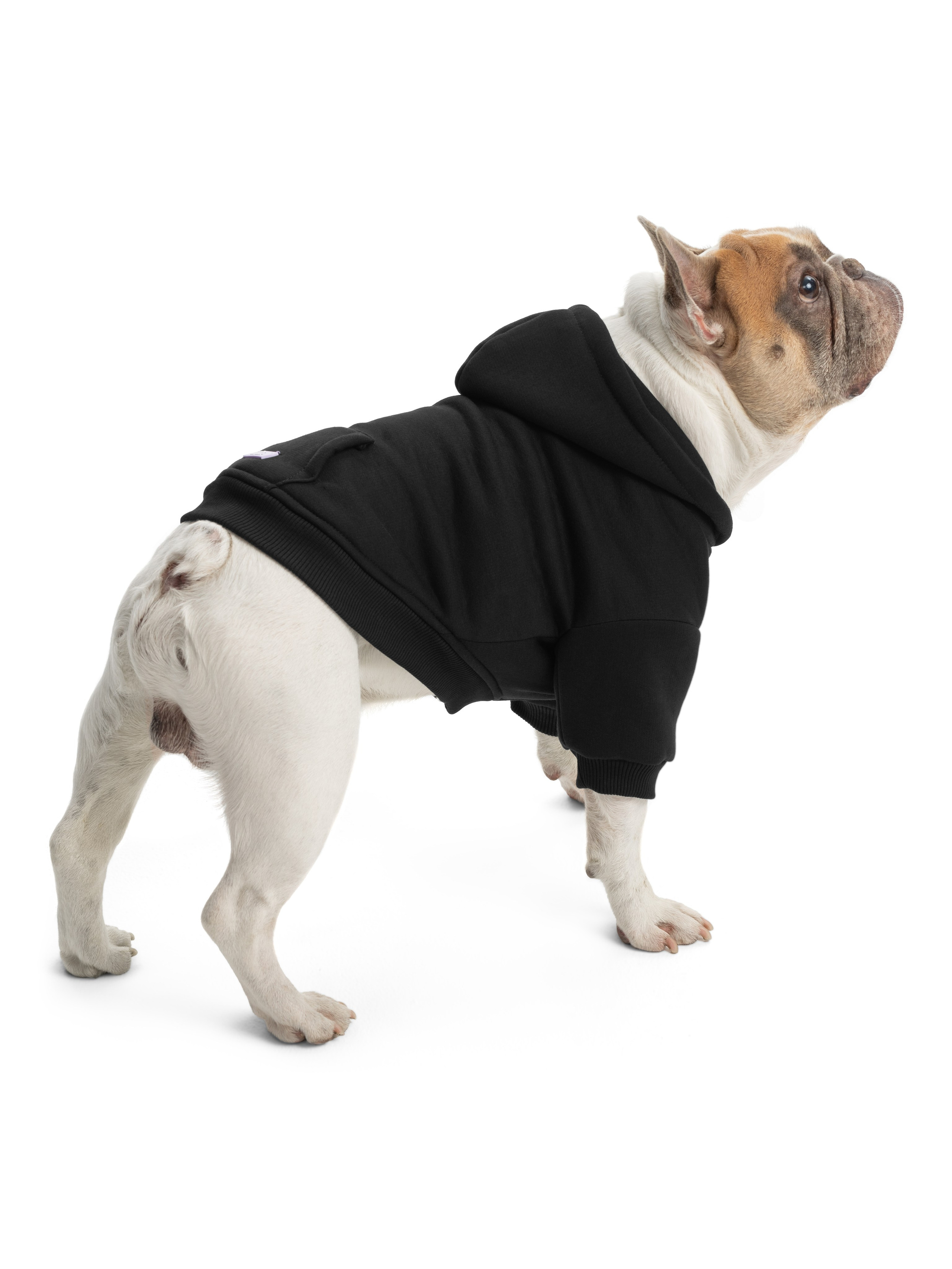 Одежда для собак Pet Subject. Олег Дмитриев